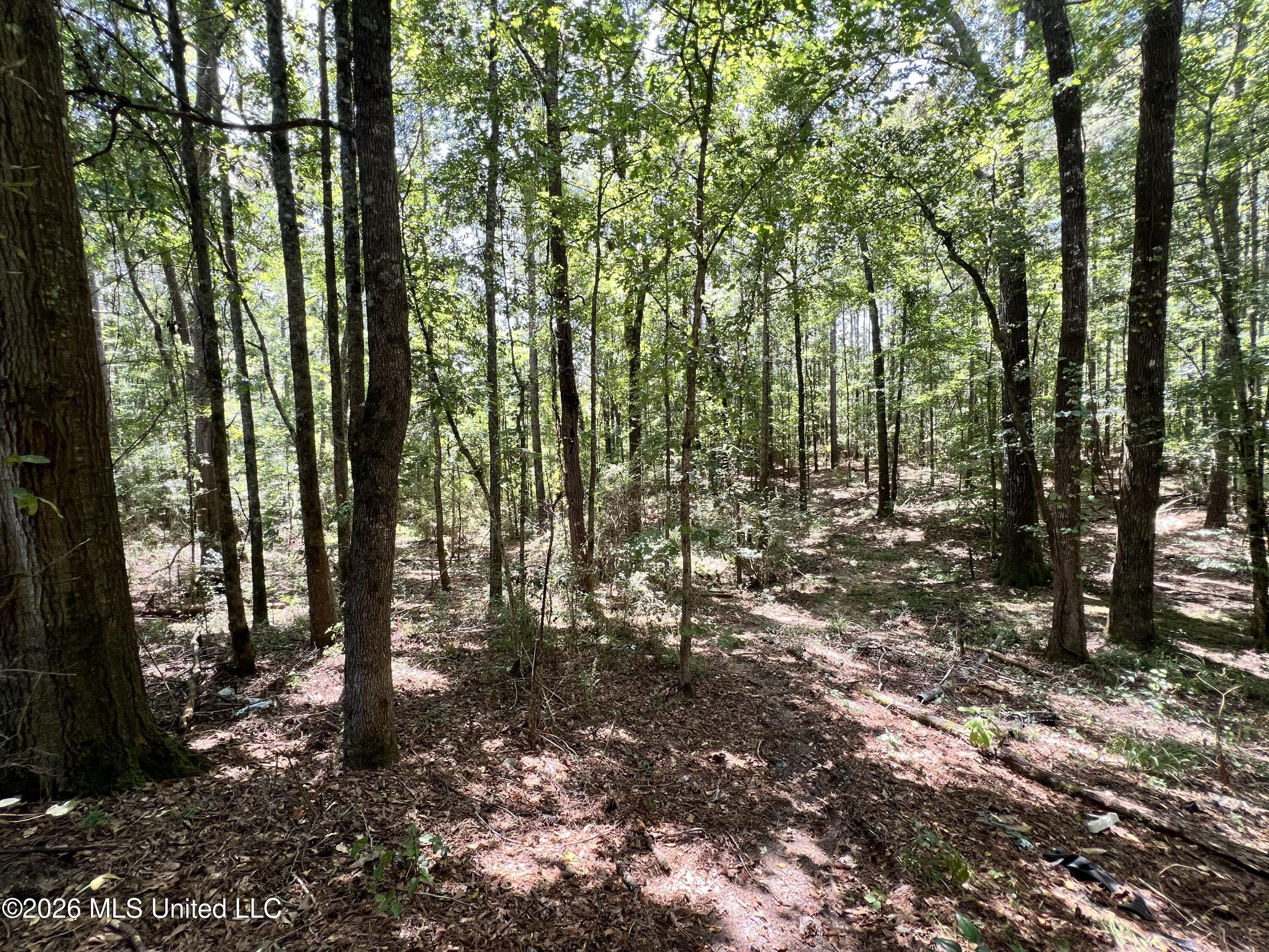 4142 Linfrank Line Road Property Photo 9