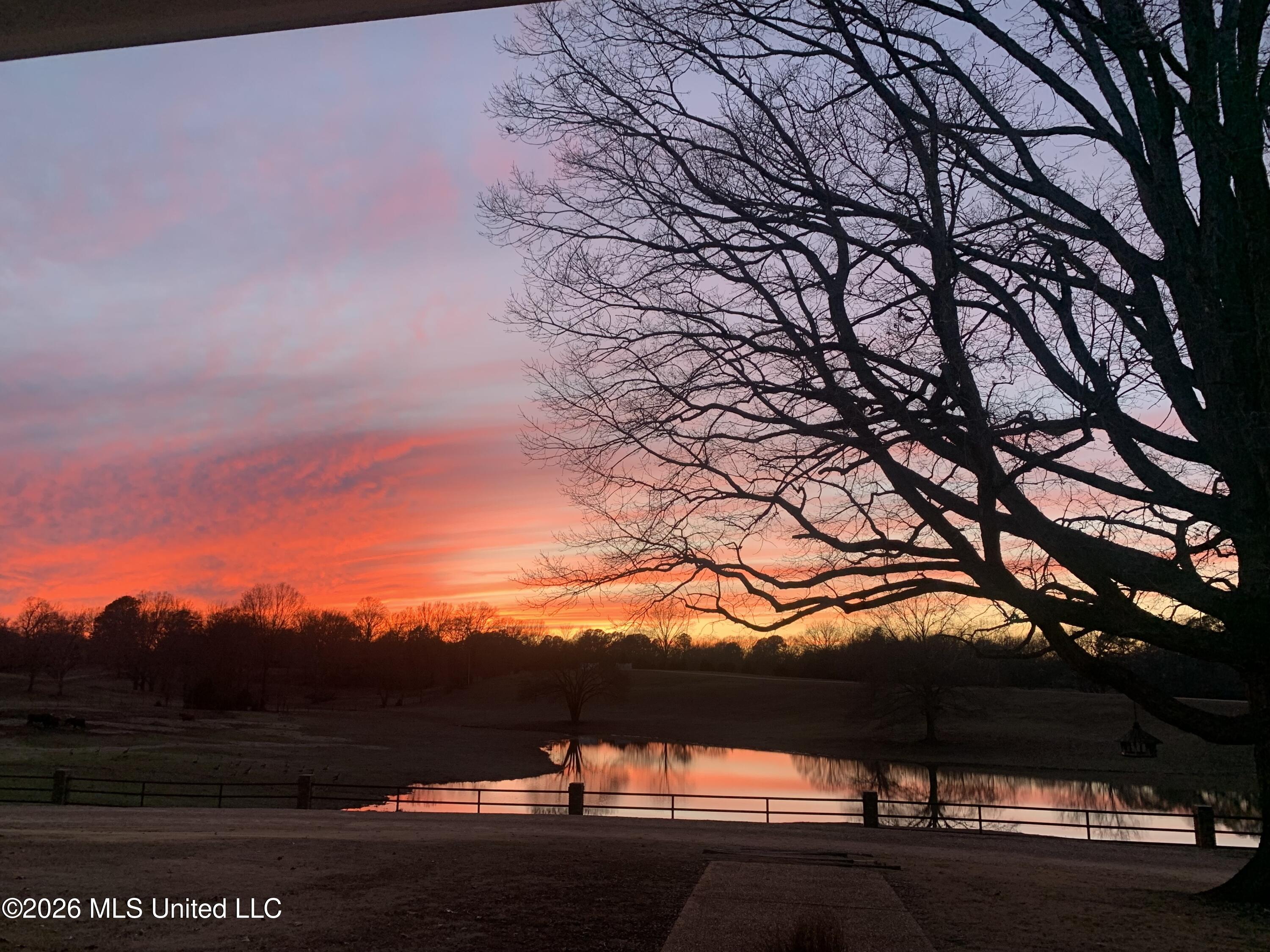 154 Kopf Road Property Photo 130