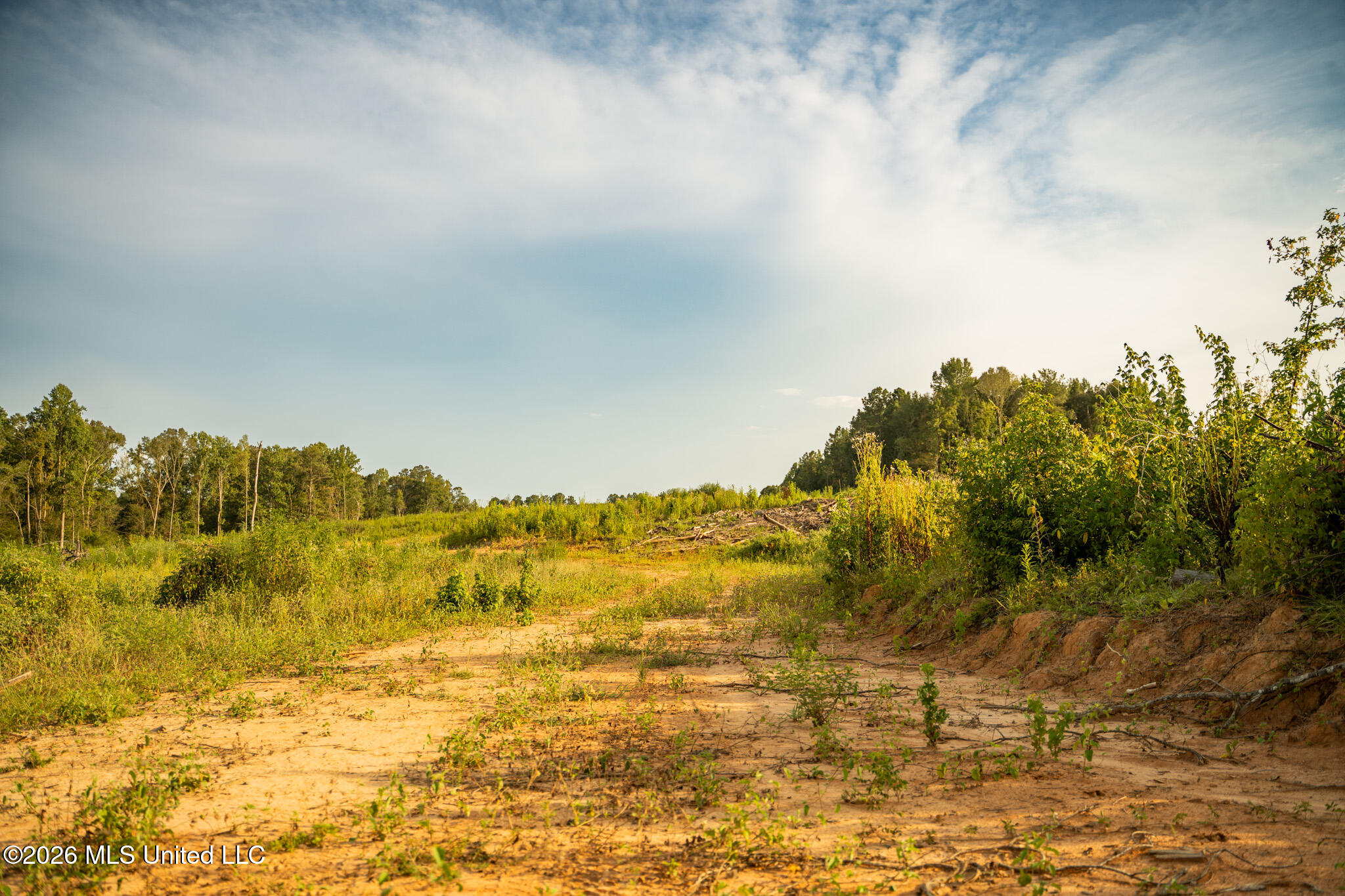 Co Rd 4300 Property Photo 8