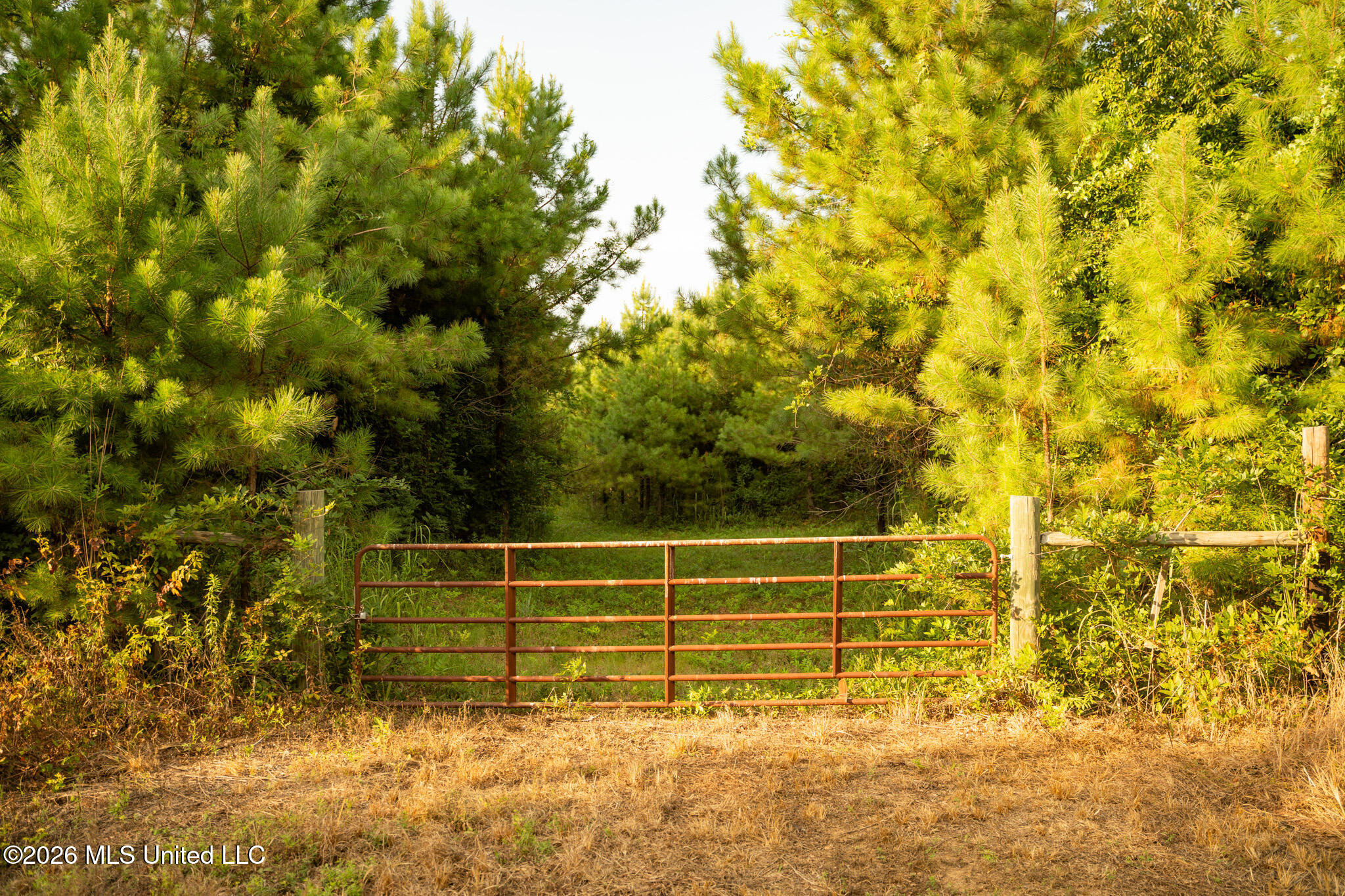 Co Rd 4300 Property Photo 12