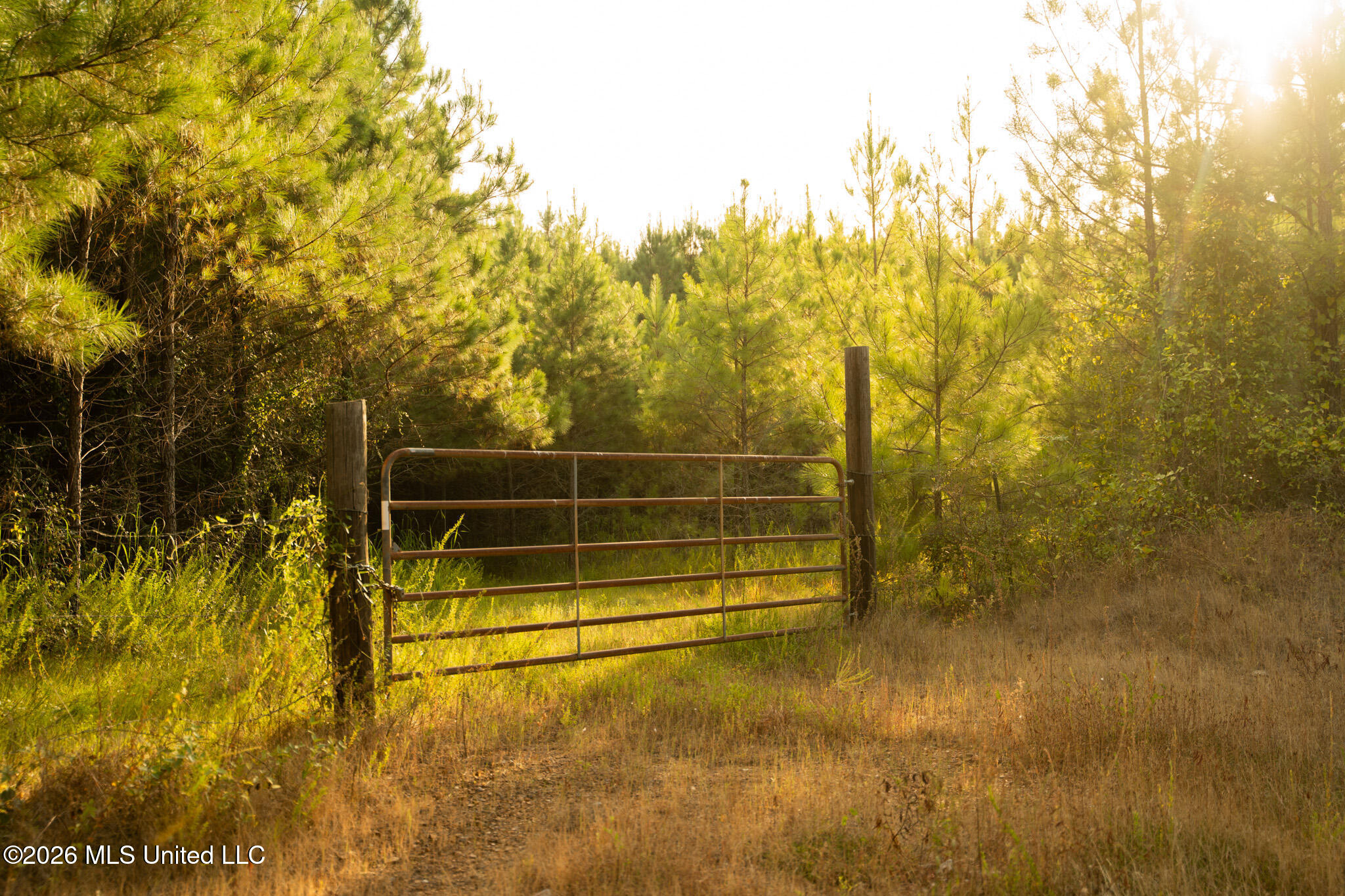 Co Rd 4300 Property Photo 14