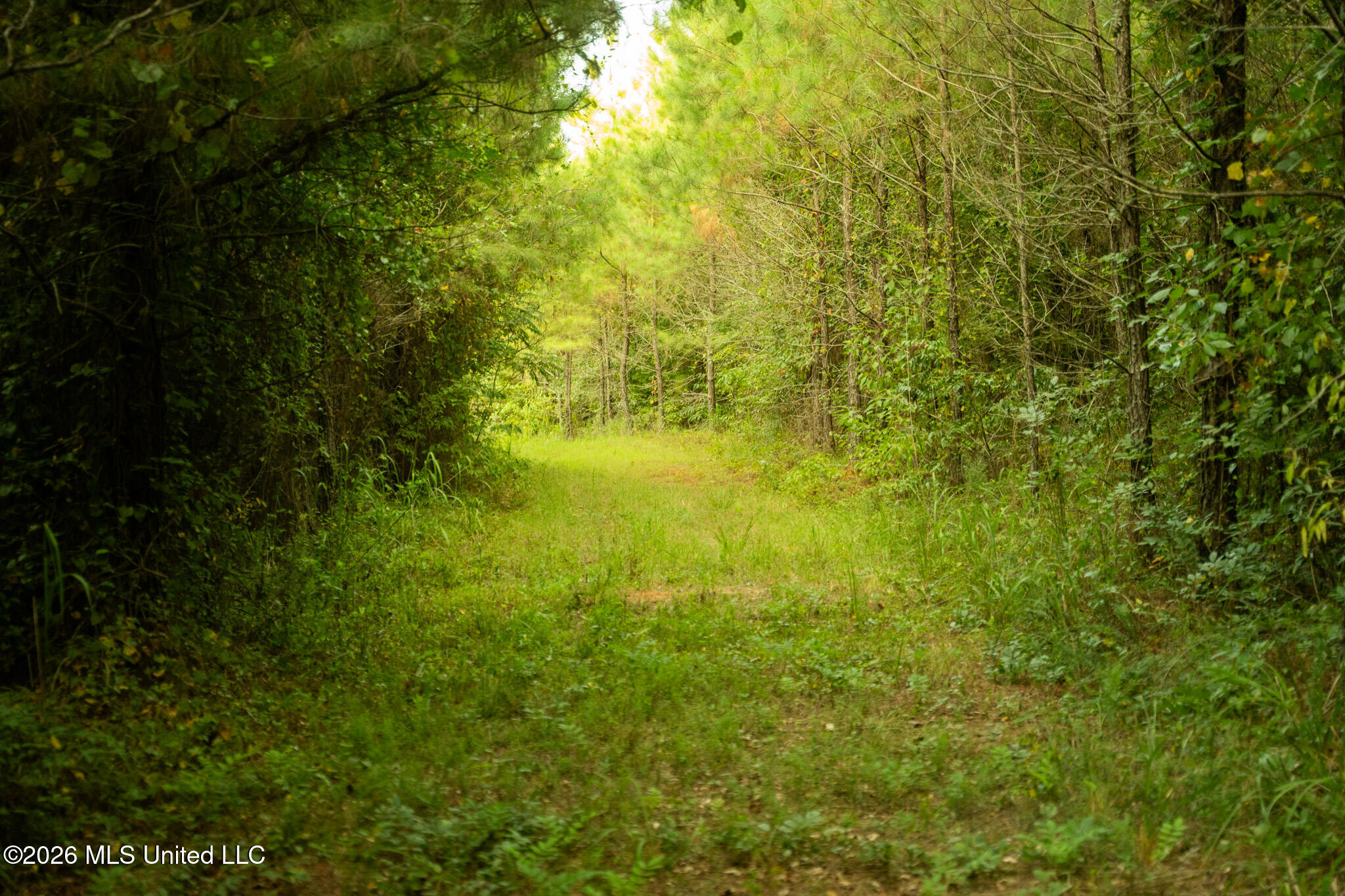 Co Rd 4300 Property Photo 18