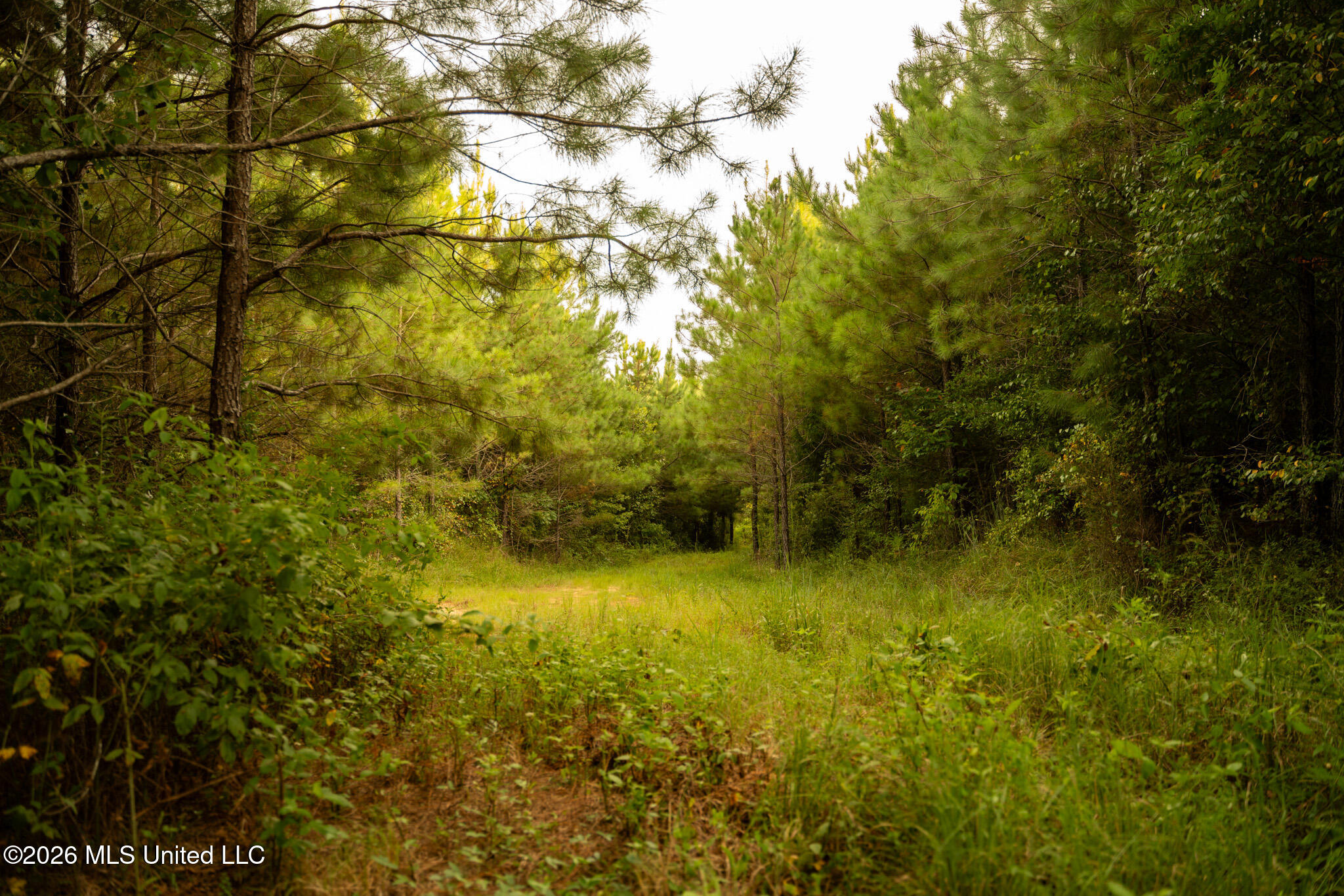 Co Rd 4300 Property Photo 26