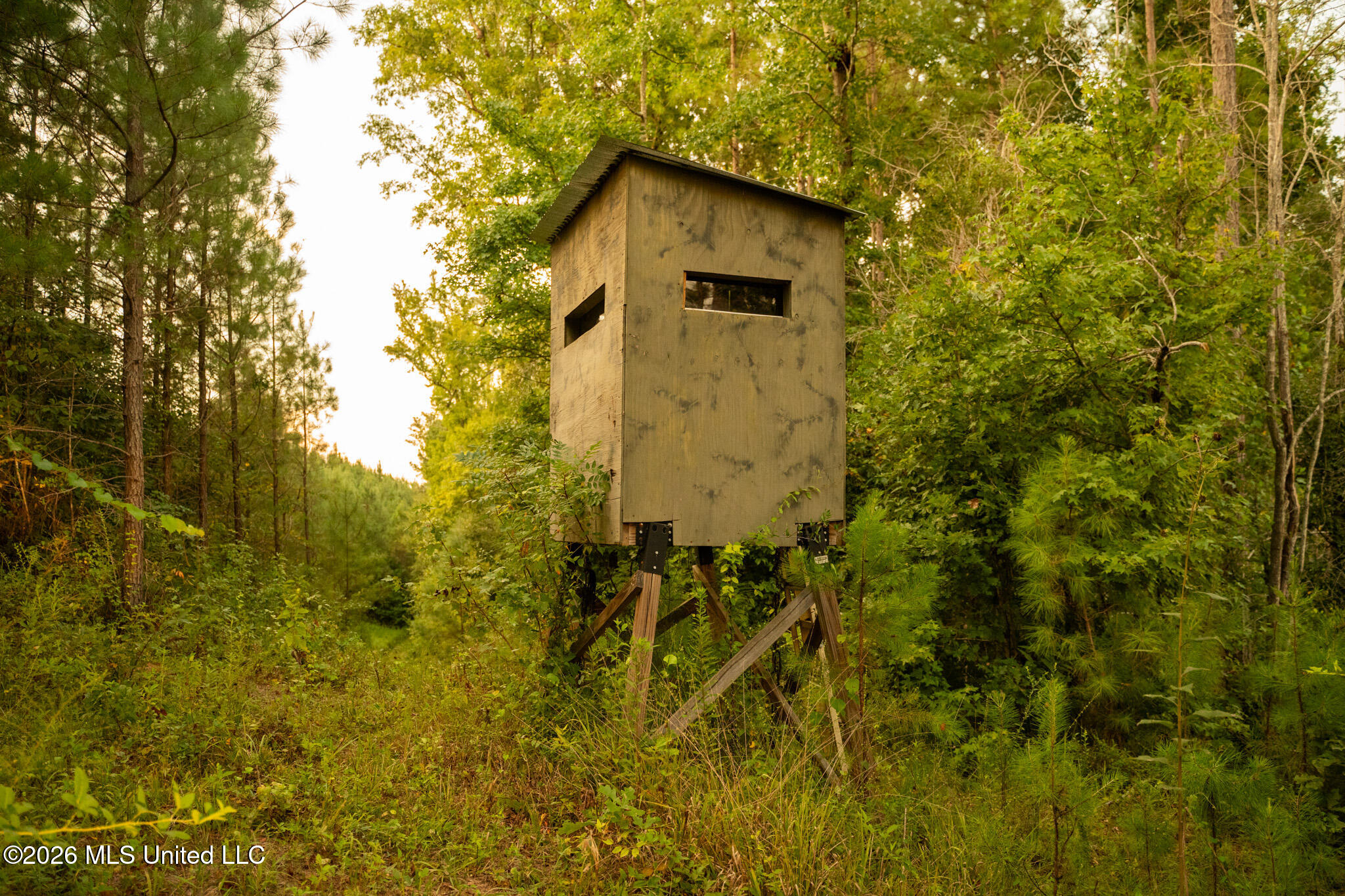 Co Rd 4300 Property Photo 31