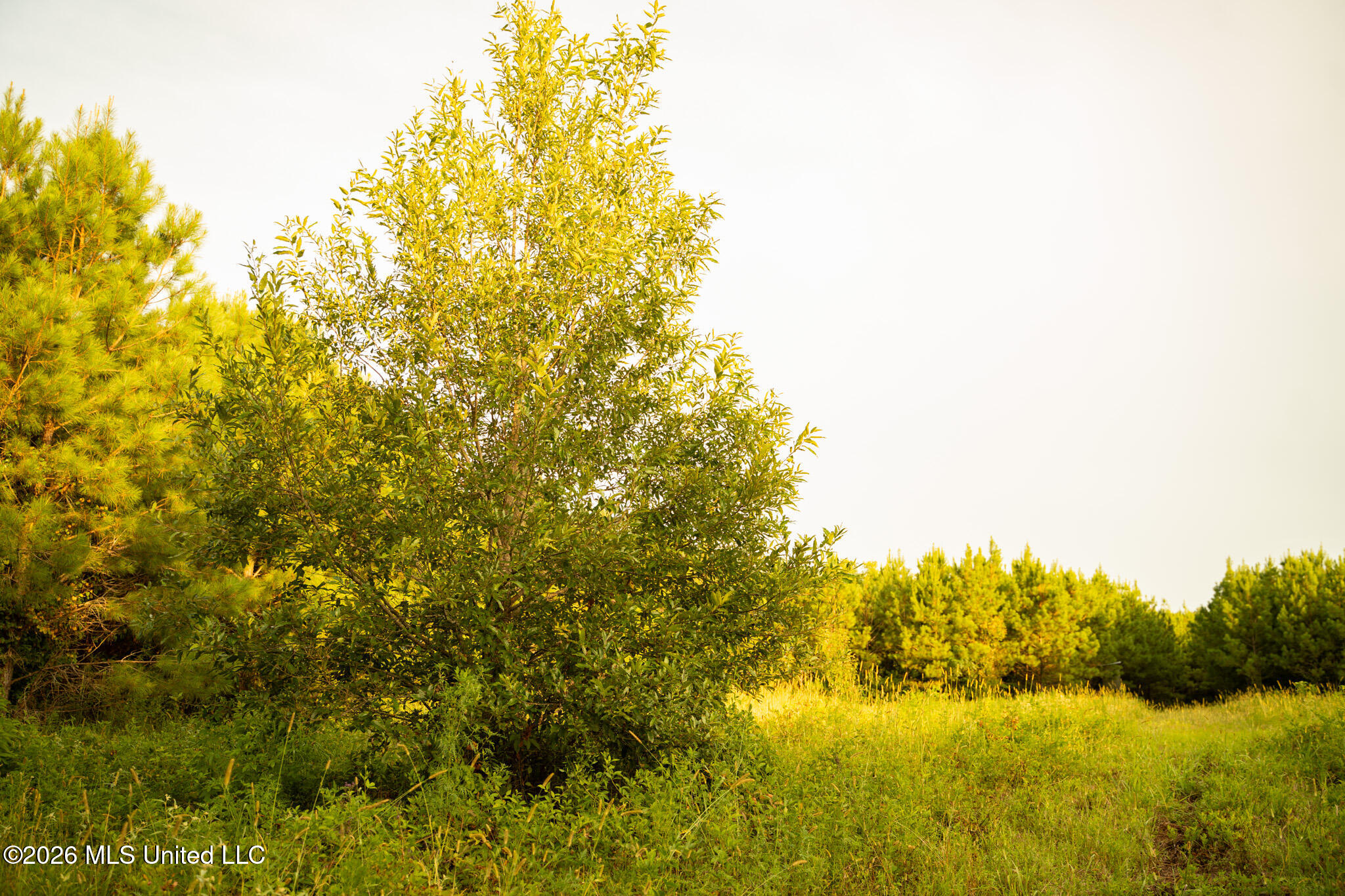 Co Rd 4300 Property Photo 34