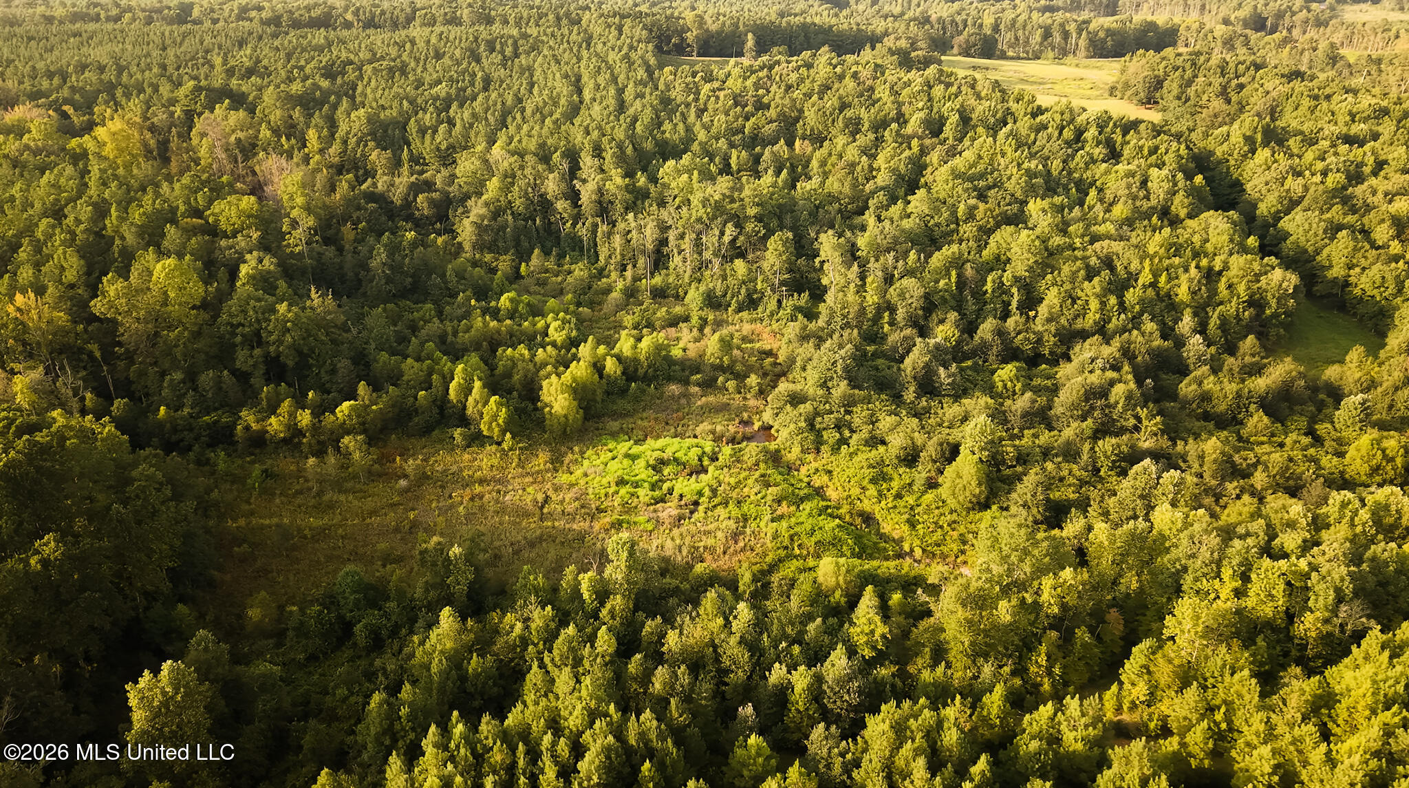 Co Rd 4300 Property Photo 35