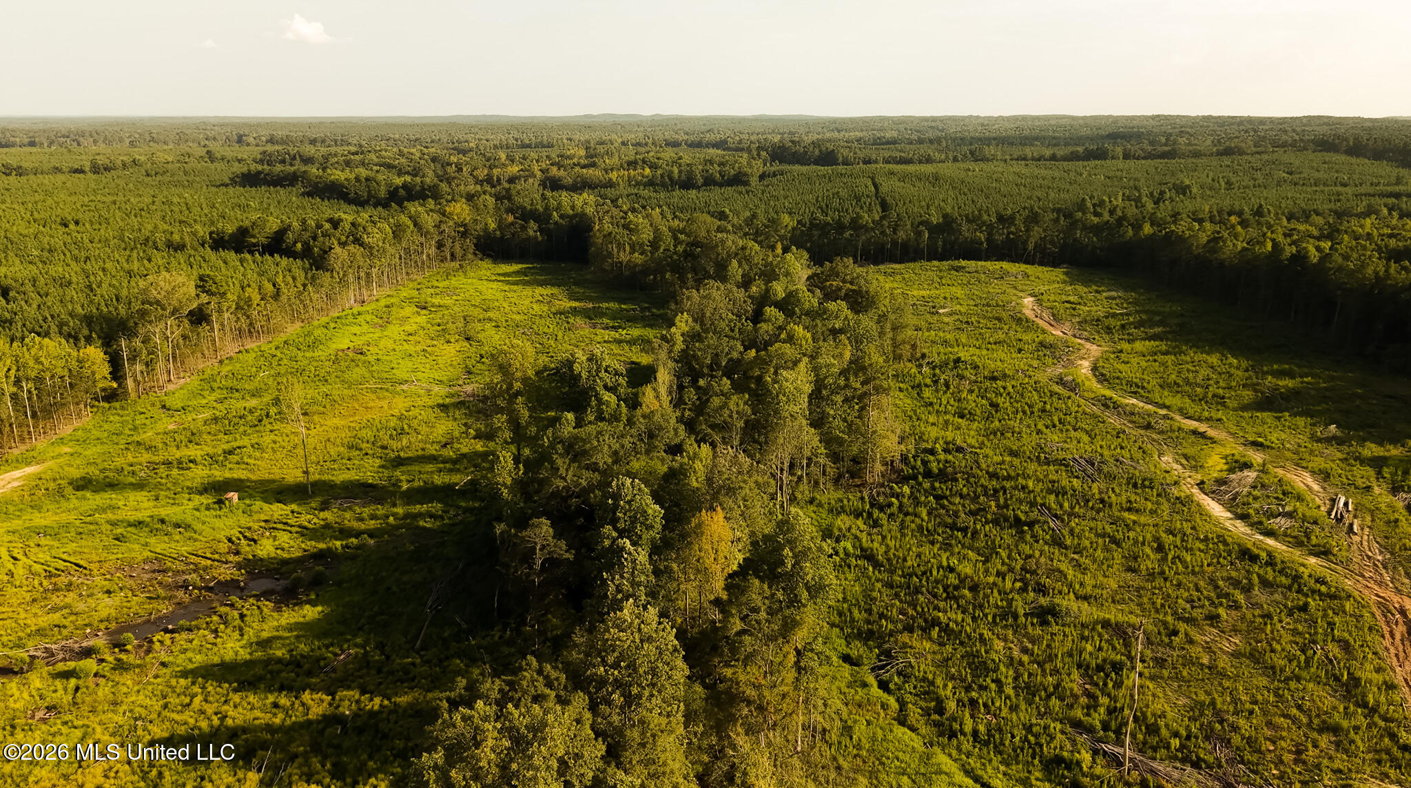 Co Rd 4300 Property Photo 47