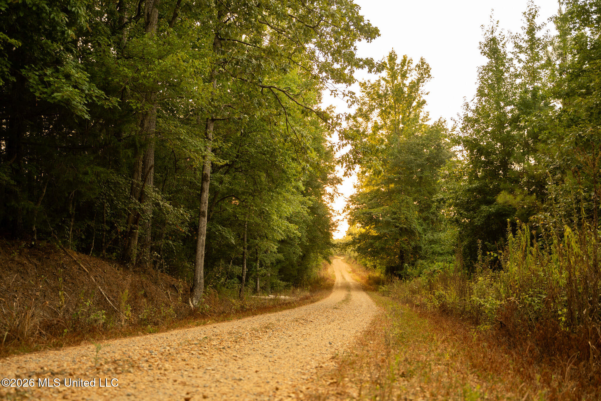 Co Rd 4300 Property Photo 50