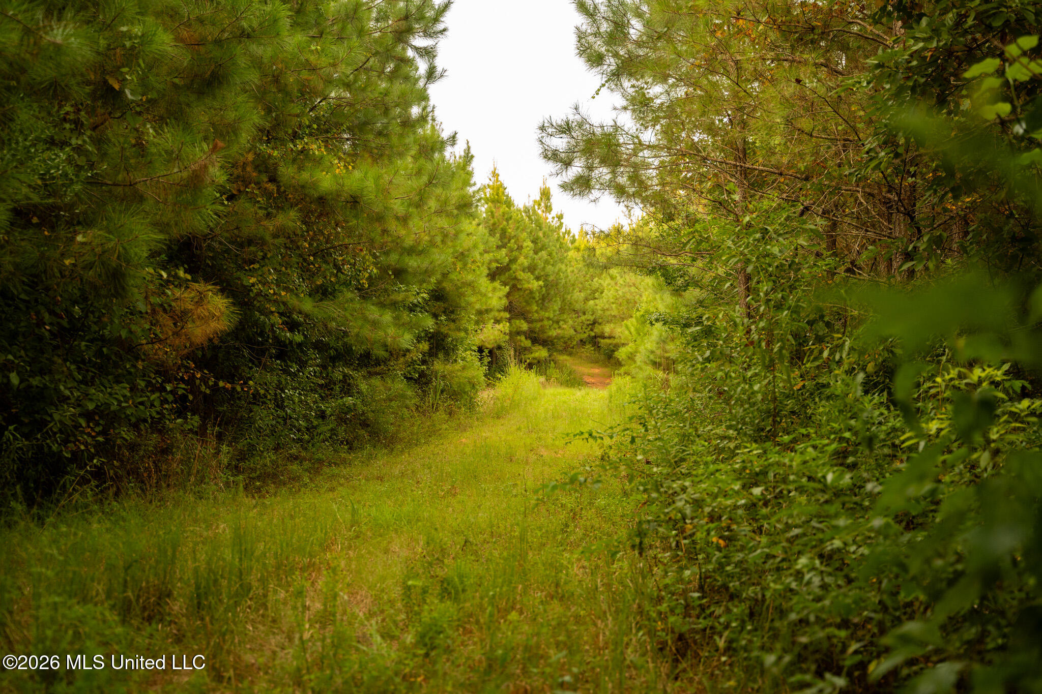 Co Rd 4300 Property Photo 55