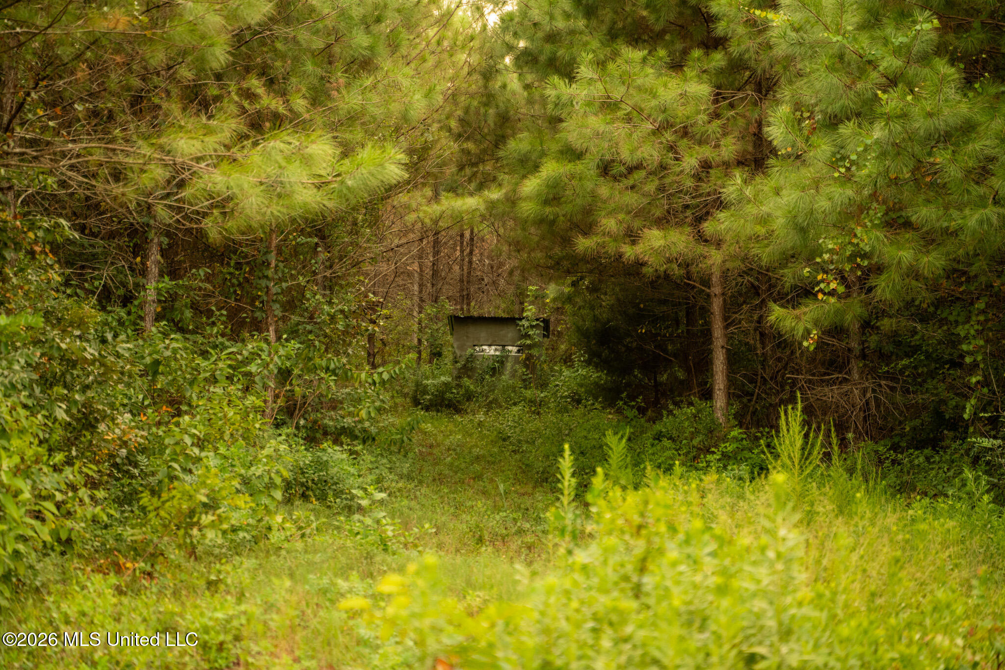 Co Rd 4300 Property Photo 59