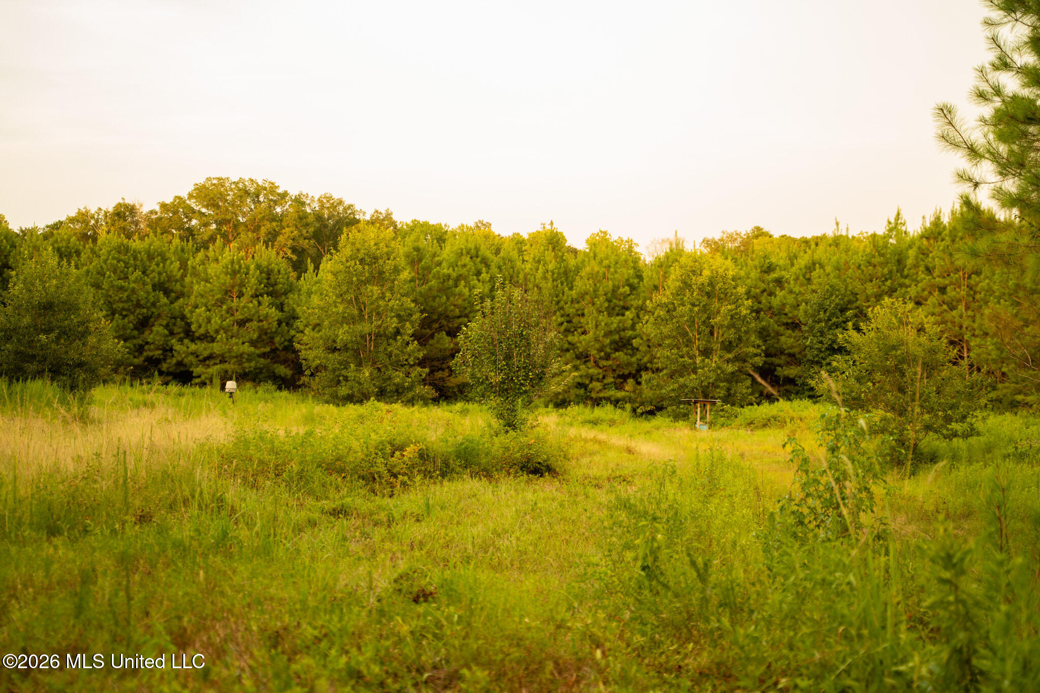 Co Rd 4300 Property Photo 60