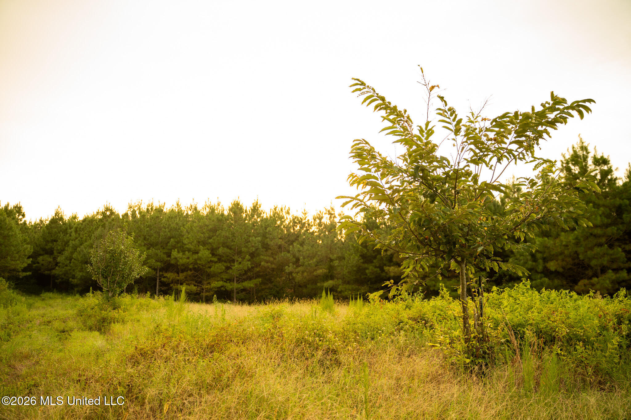 Co Rd 4300 Property Photo 62