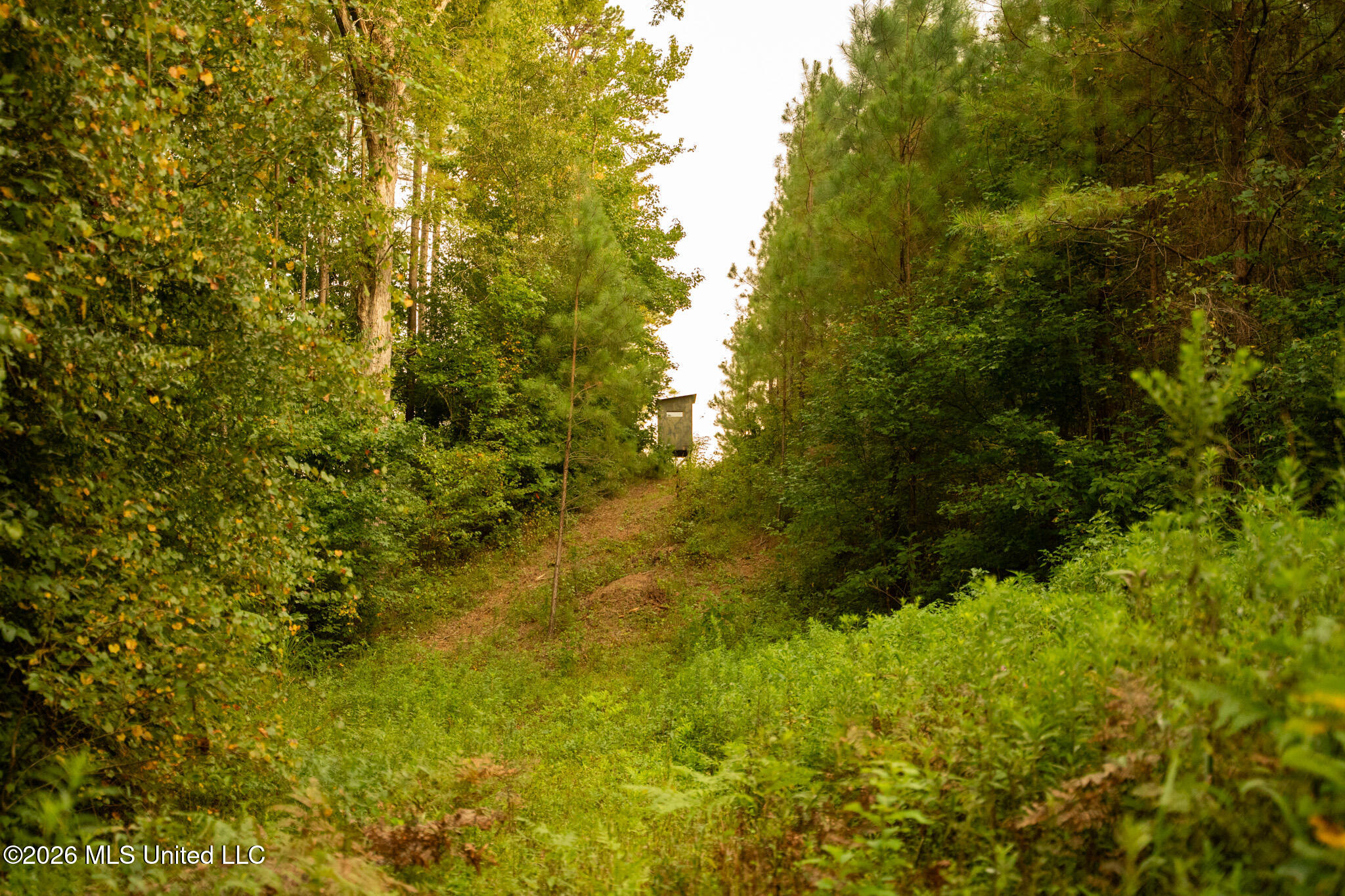 Co Rd 4300 Property Photo 66
