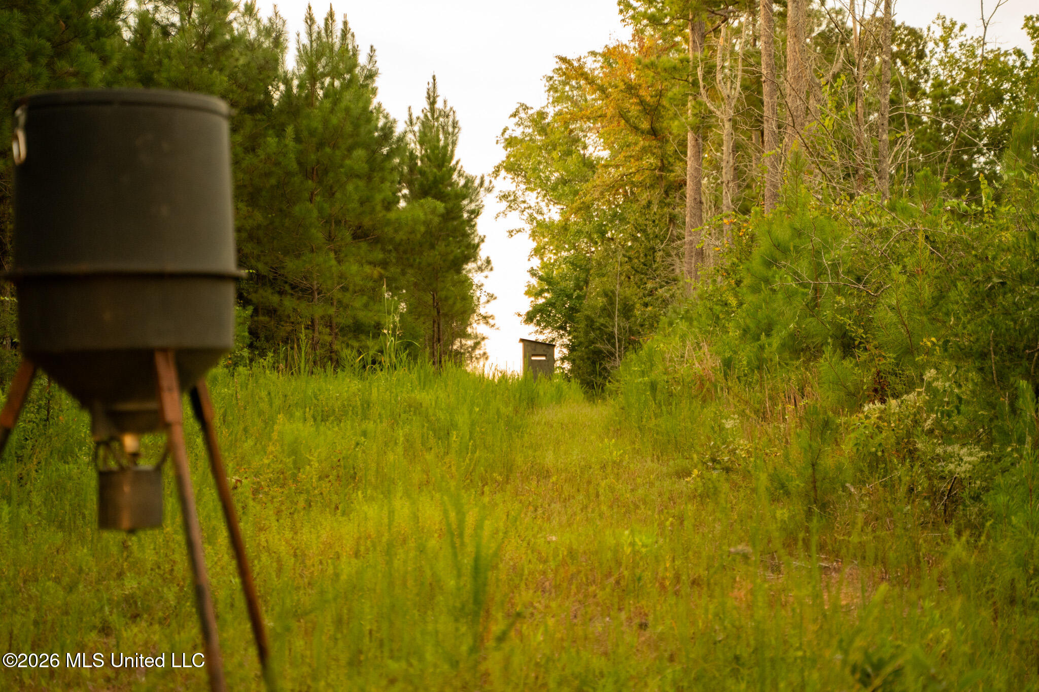 Co Rd 4300 Property Photo 67