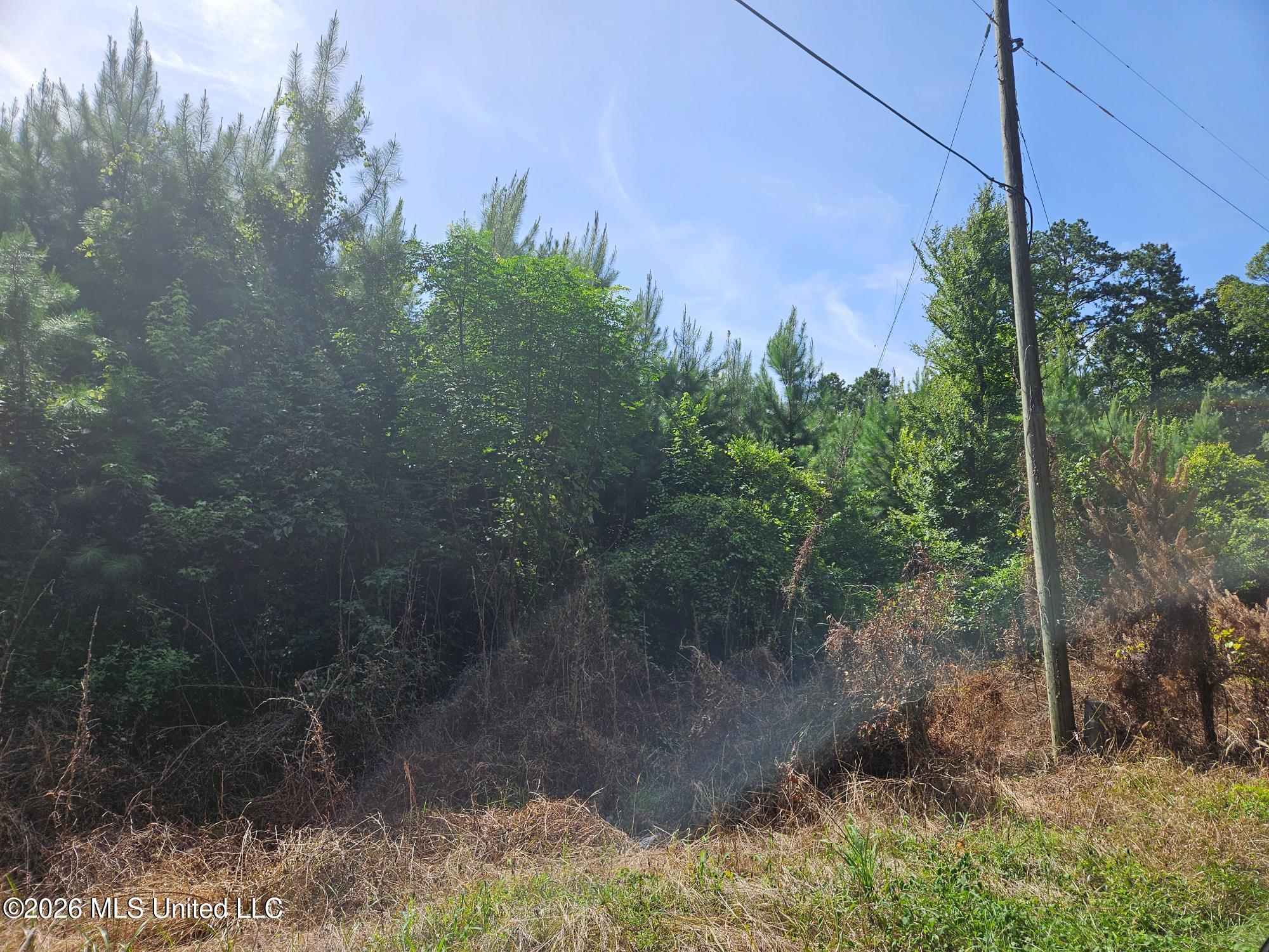 Log Cabin Road Property Photo 1