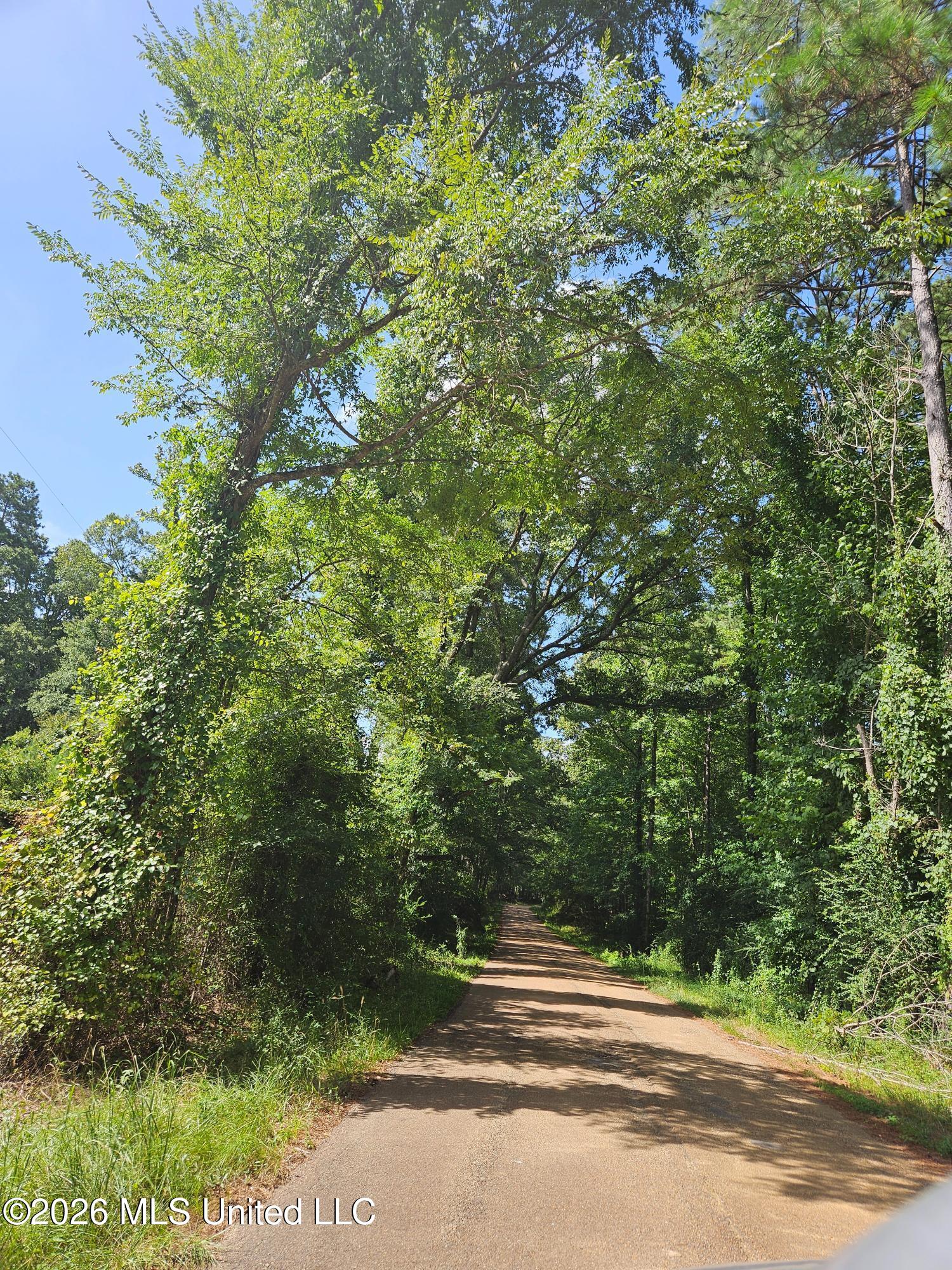 Log Cabin Road Property Photo 3