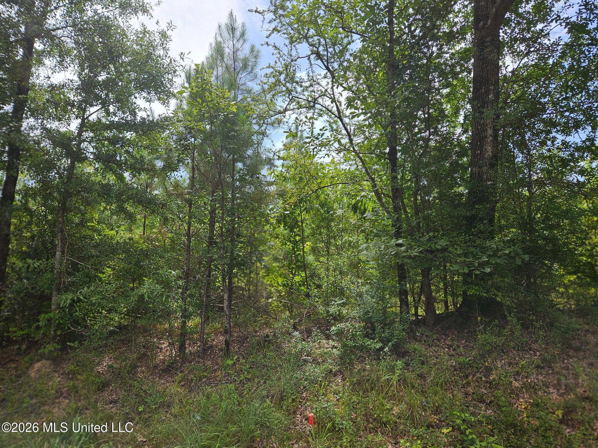Log Cabin Rd Road Property Photo 1