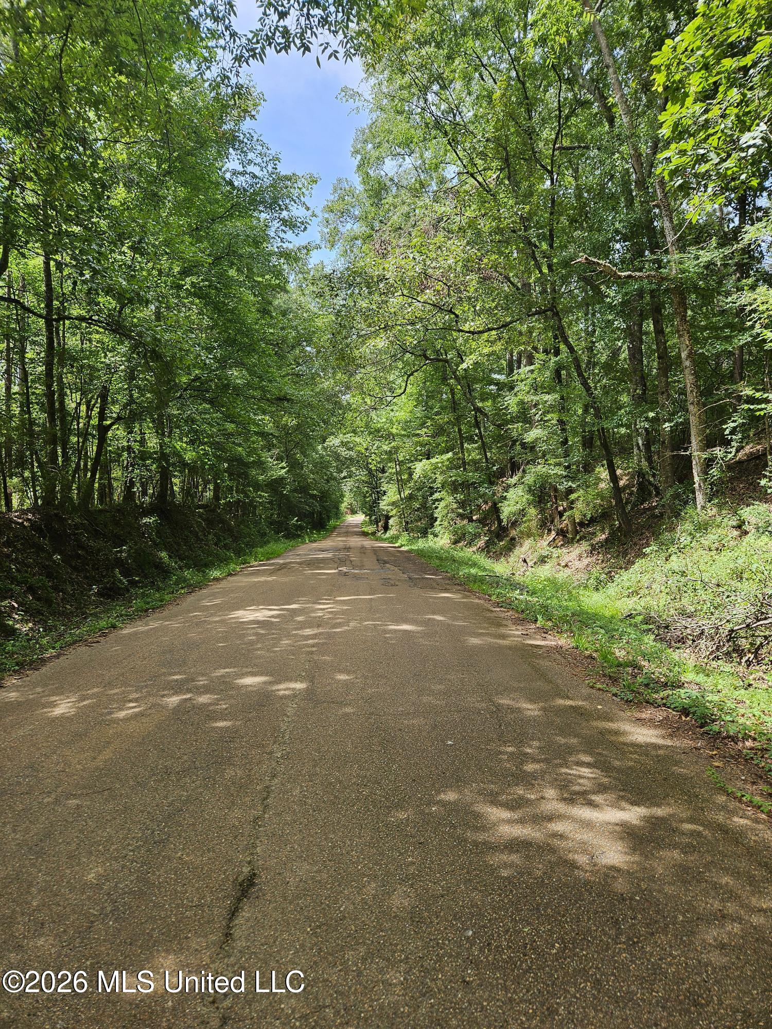 Log Cabin Rd Road Property Photo 2