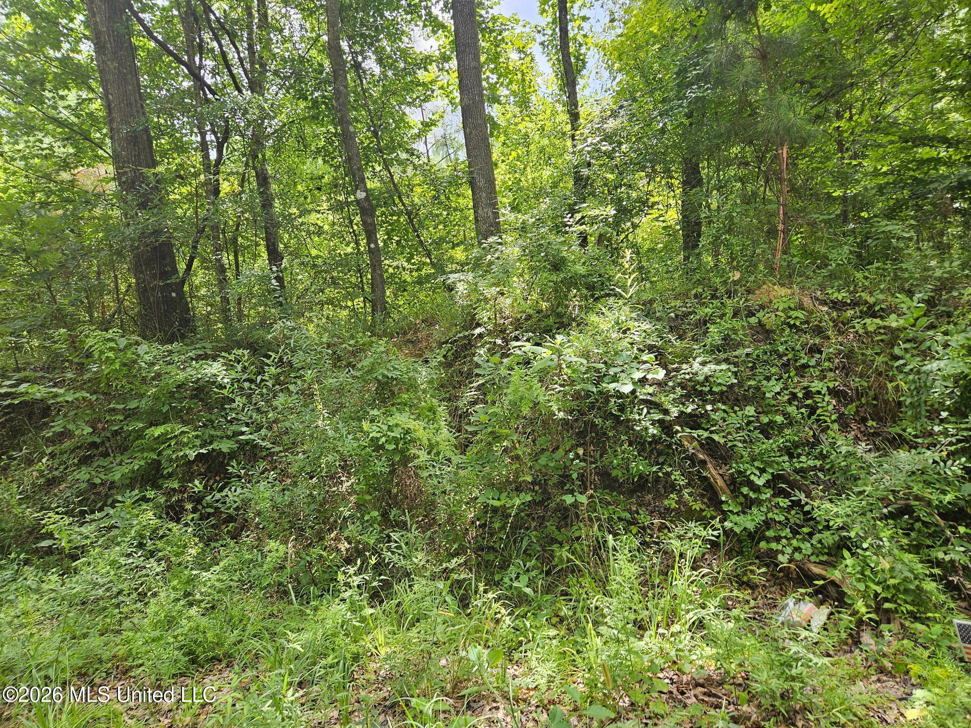 Log Cabin Rd Road Property Photo 3