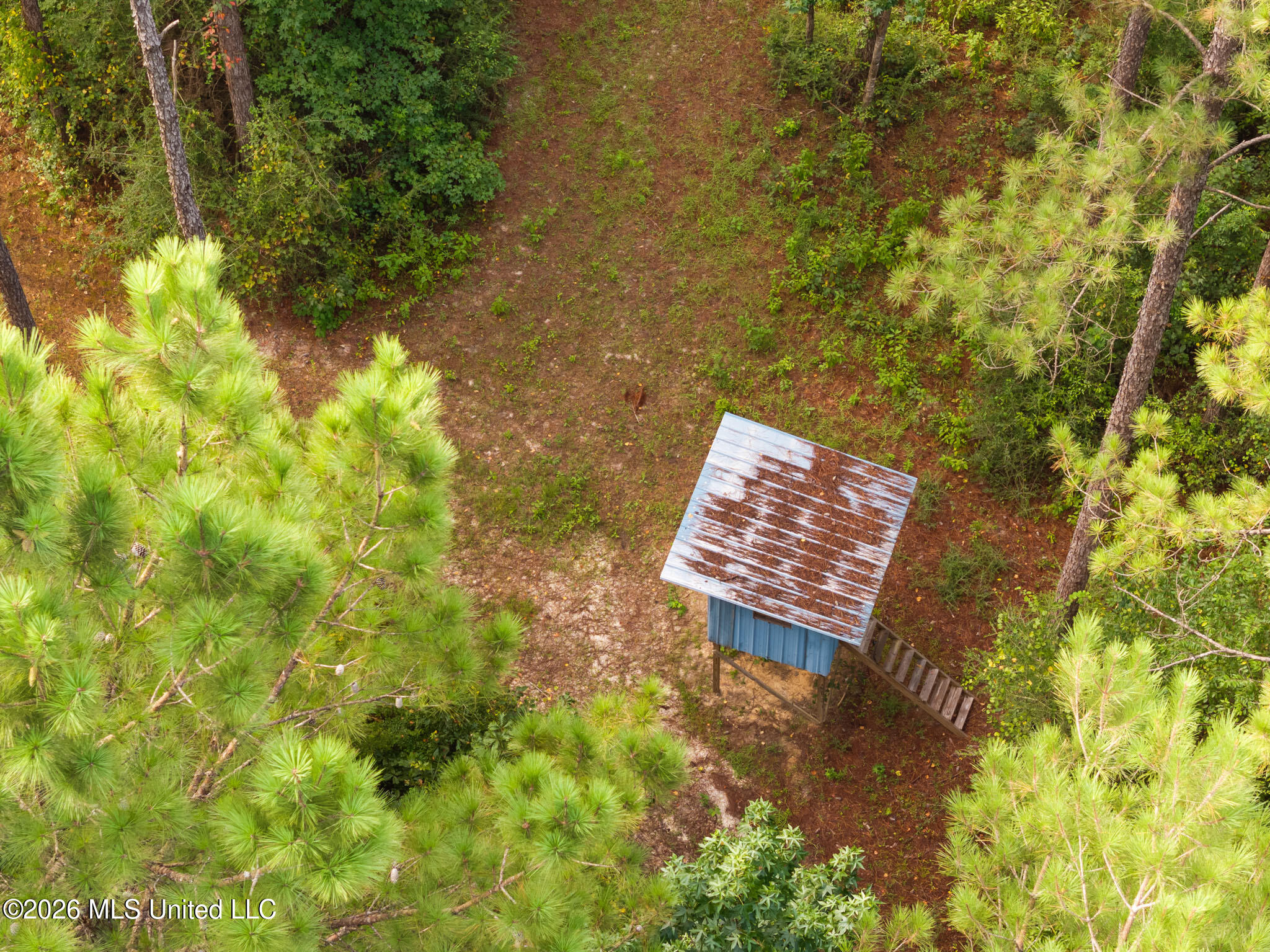 Arthur Lowe Road Property Photo 10