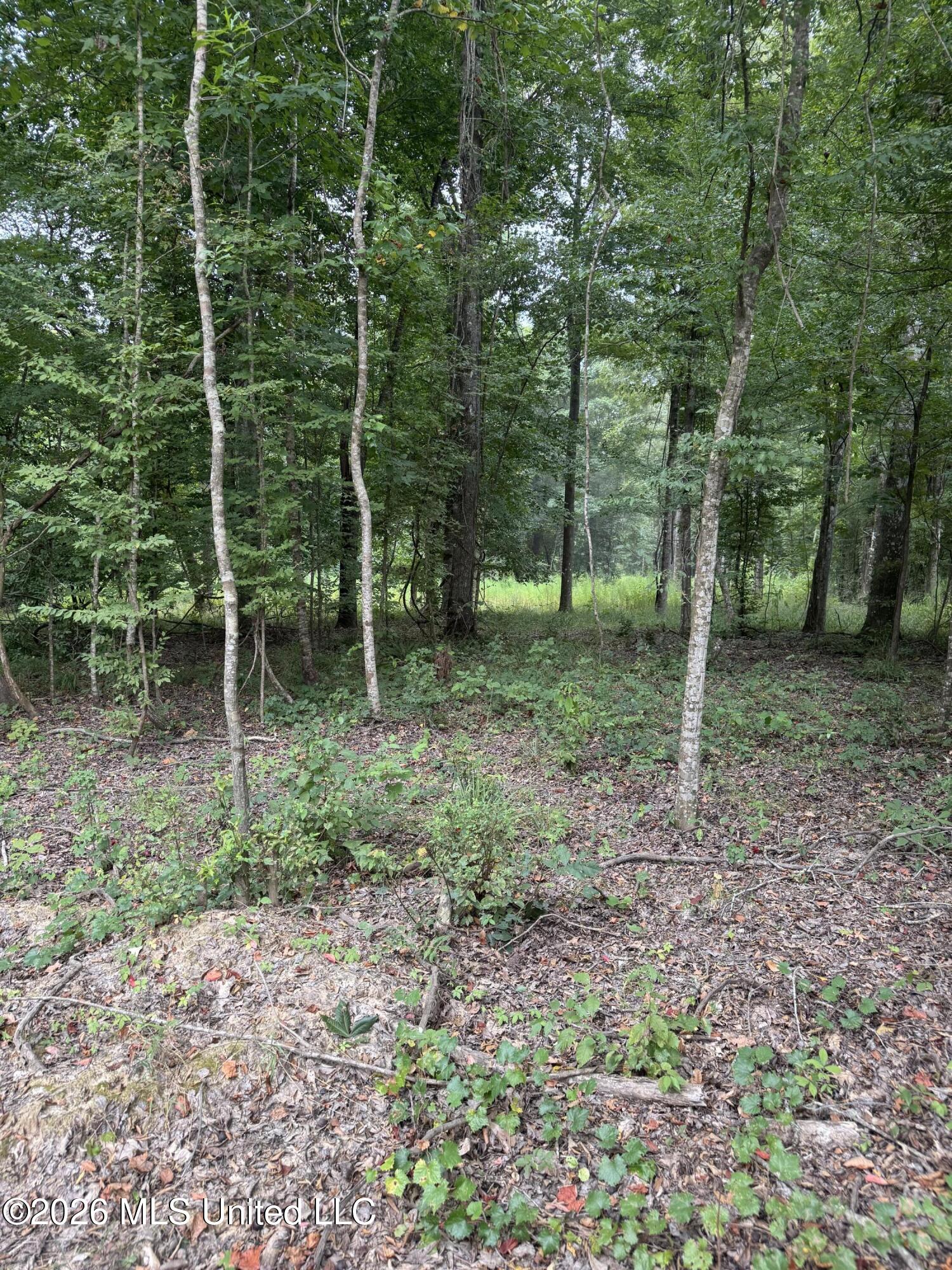 12718 Pittman Road Property Photo 11