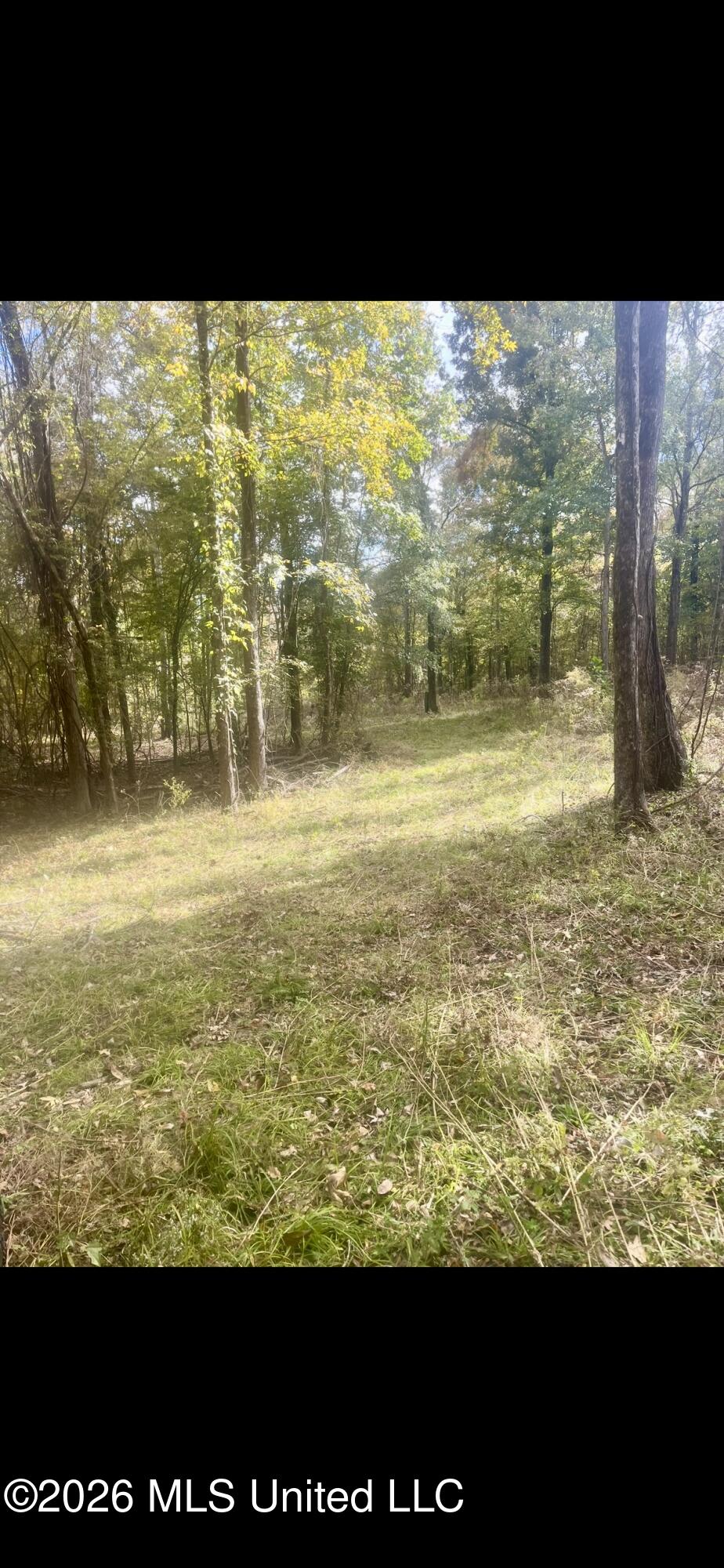 12718 Pittman Road Property Photo 11