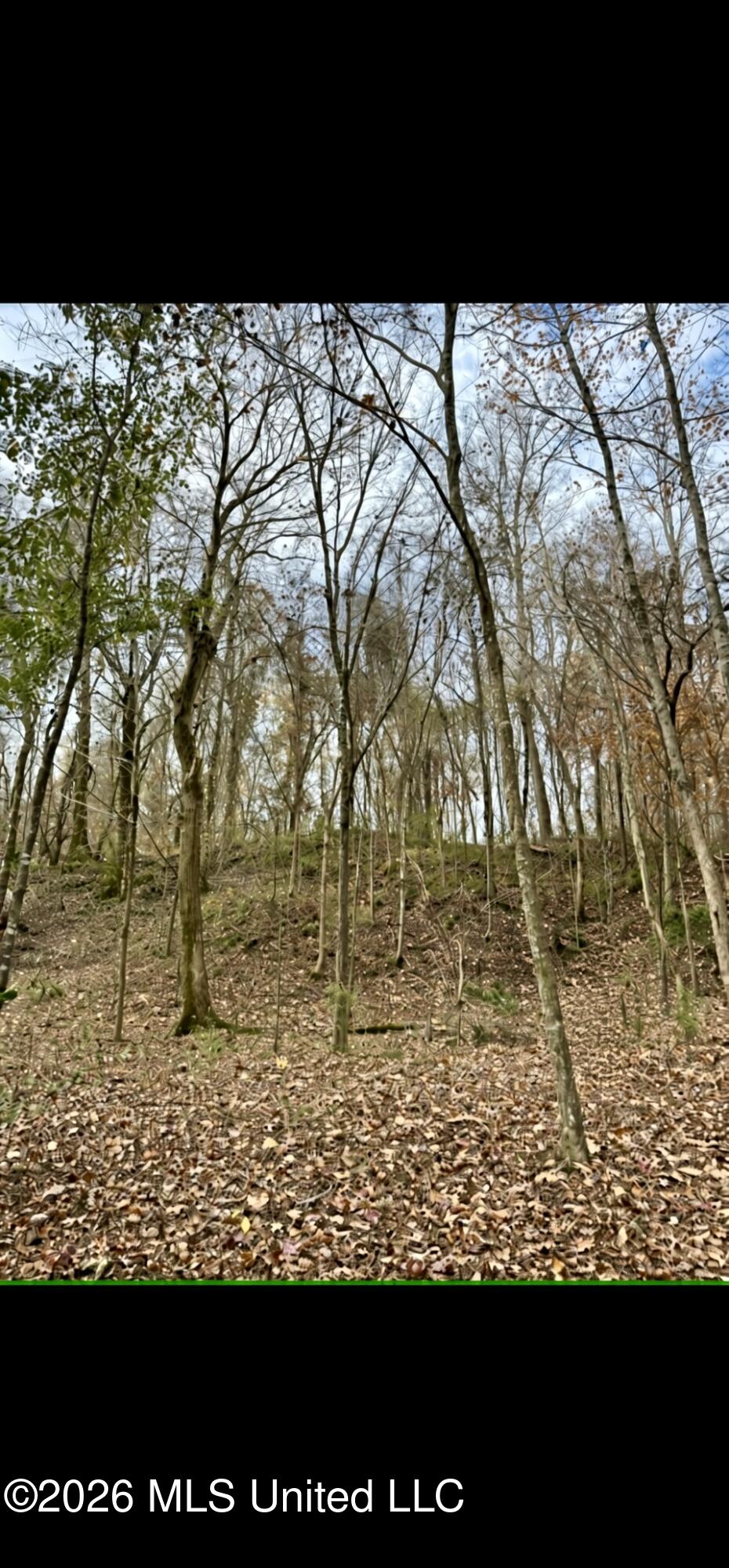 12718 Pittman Road Property Photo 12