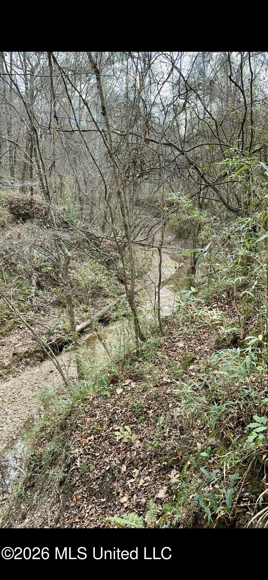 12718 Pittman Road Property Photo 13