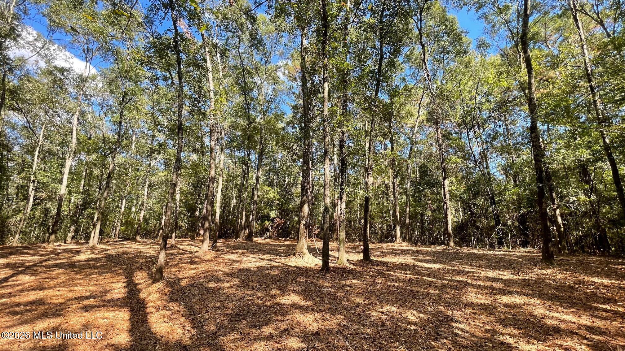 Old Hwy 49 Property Photo 1