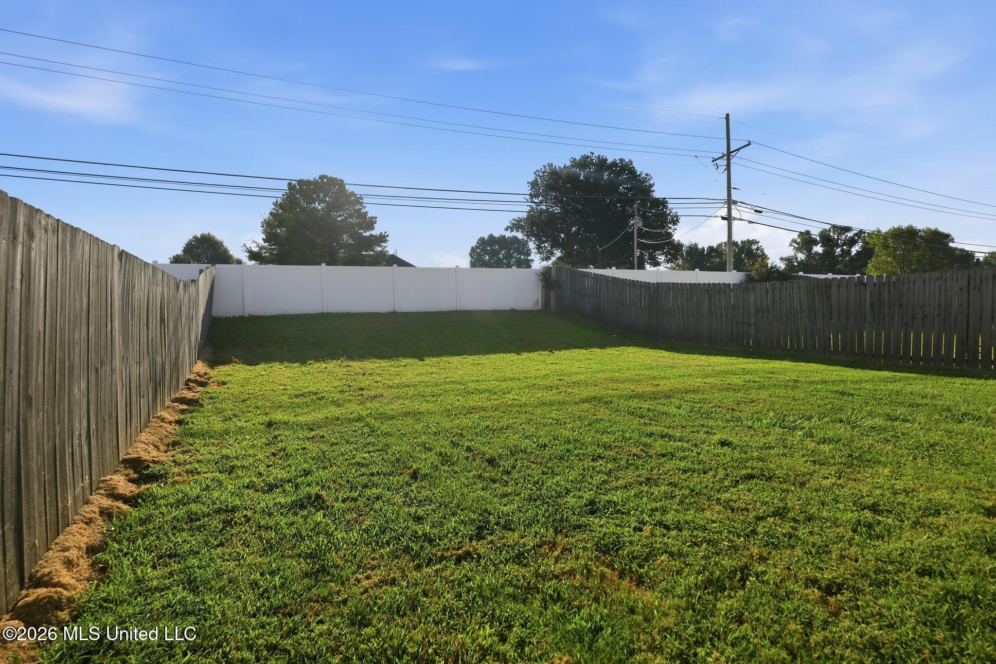 8848 Cat Tail Cove Property Photo 22