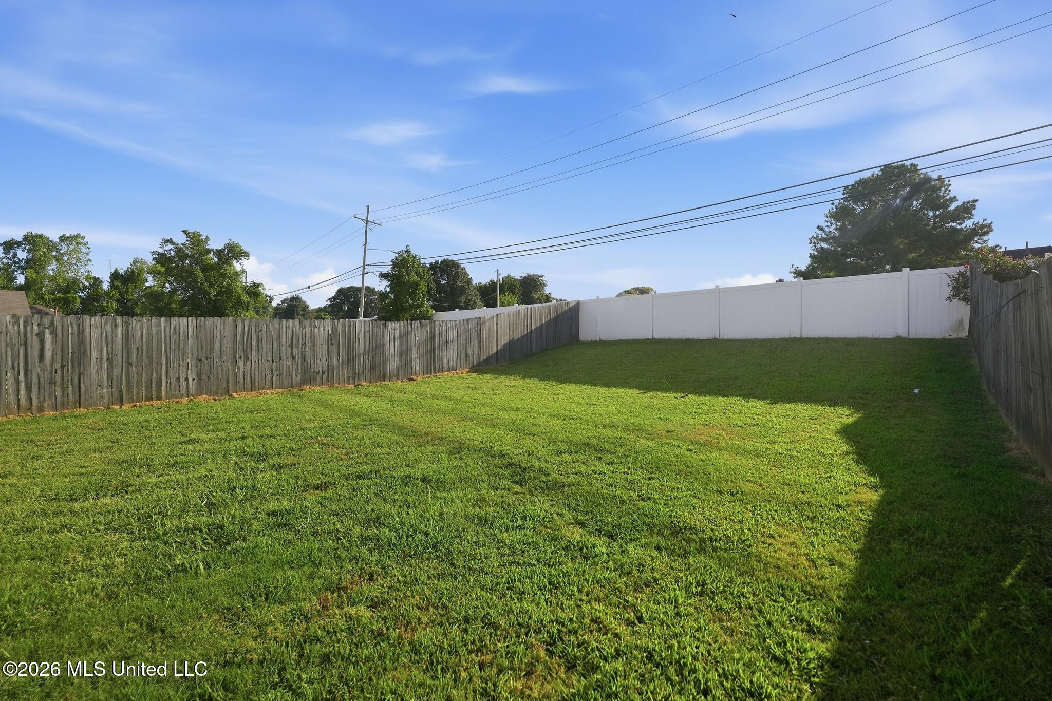 8848 Cat Tail Cove Property Photo 23