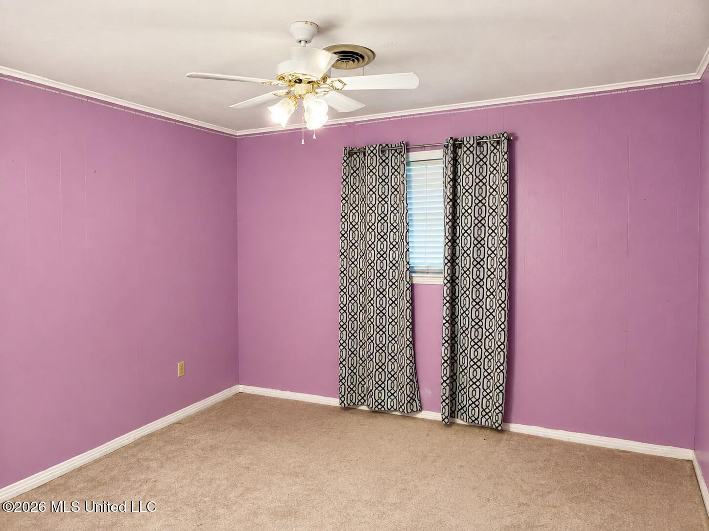 7400 County Road 222 Property Photo 34