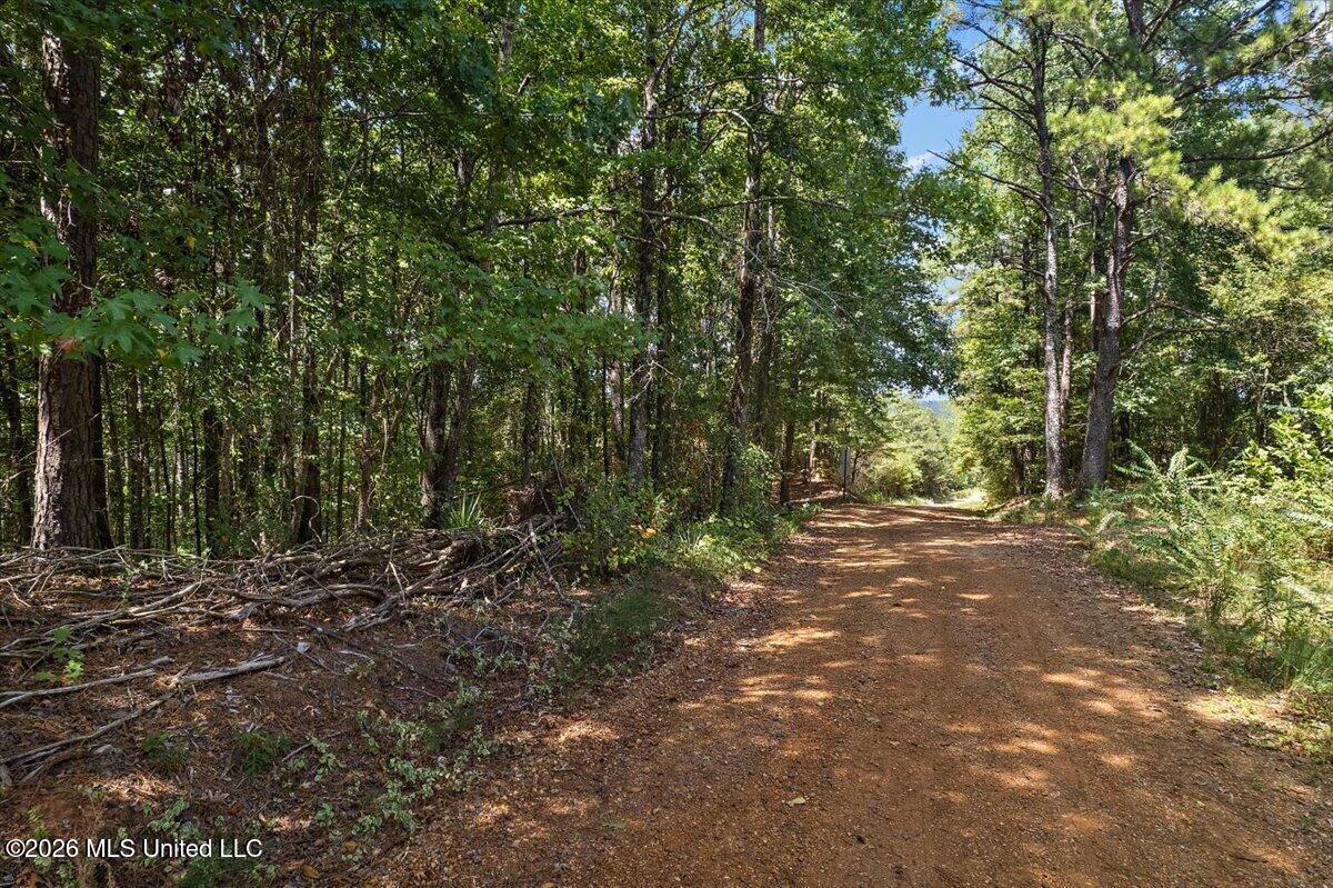 County Rd 177 Property Photo 1