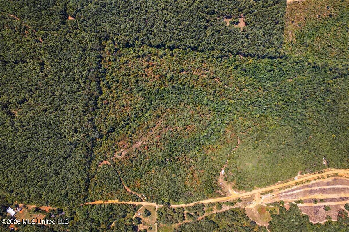 County Rd 177 Property Photo 4