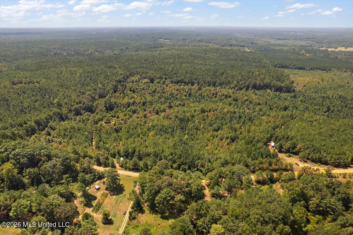 County Rd 177 Property Photo 6