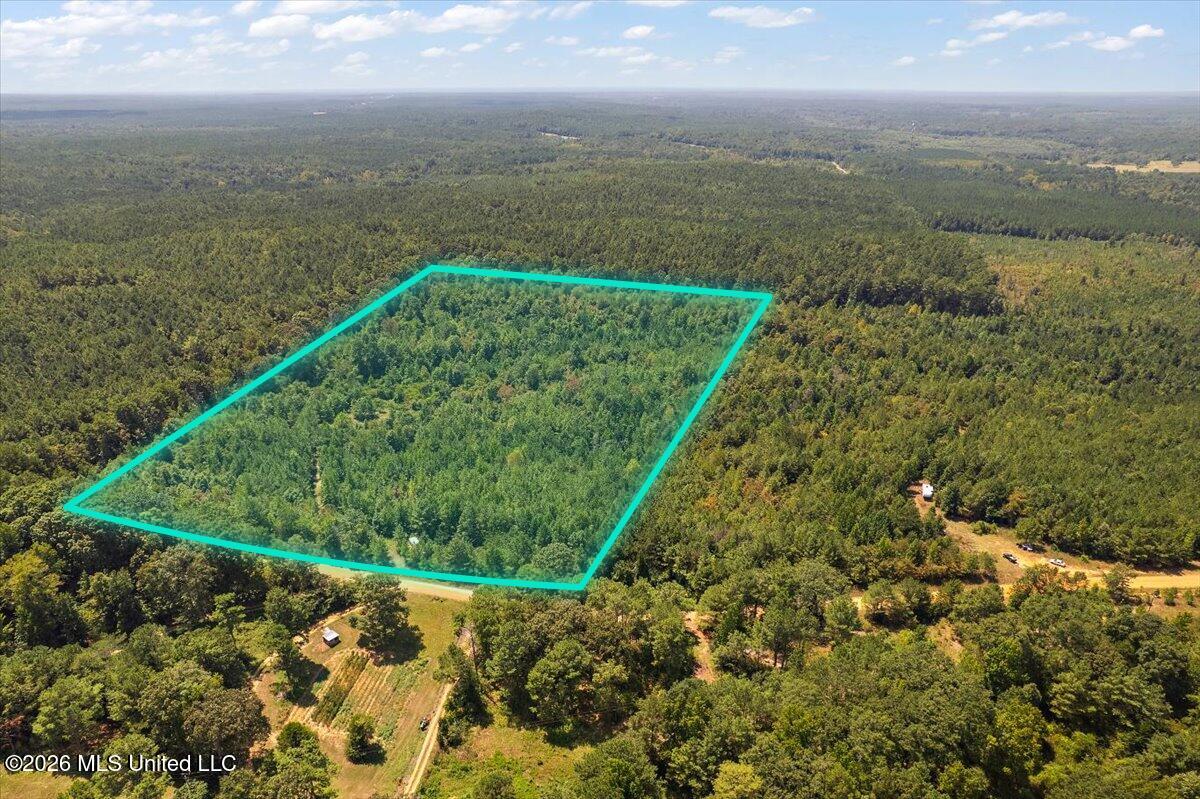 County Rd 177 Property Photo 7