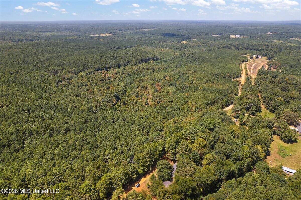 County Rd 177 Property Photo 8