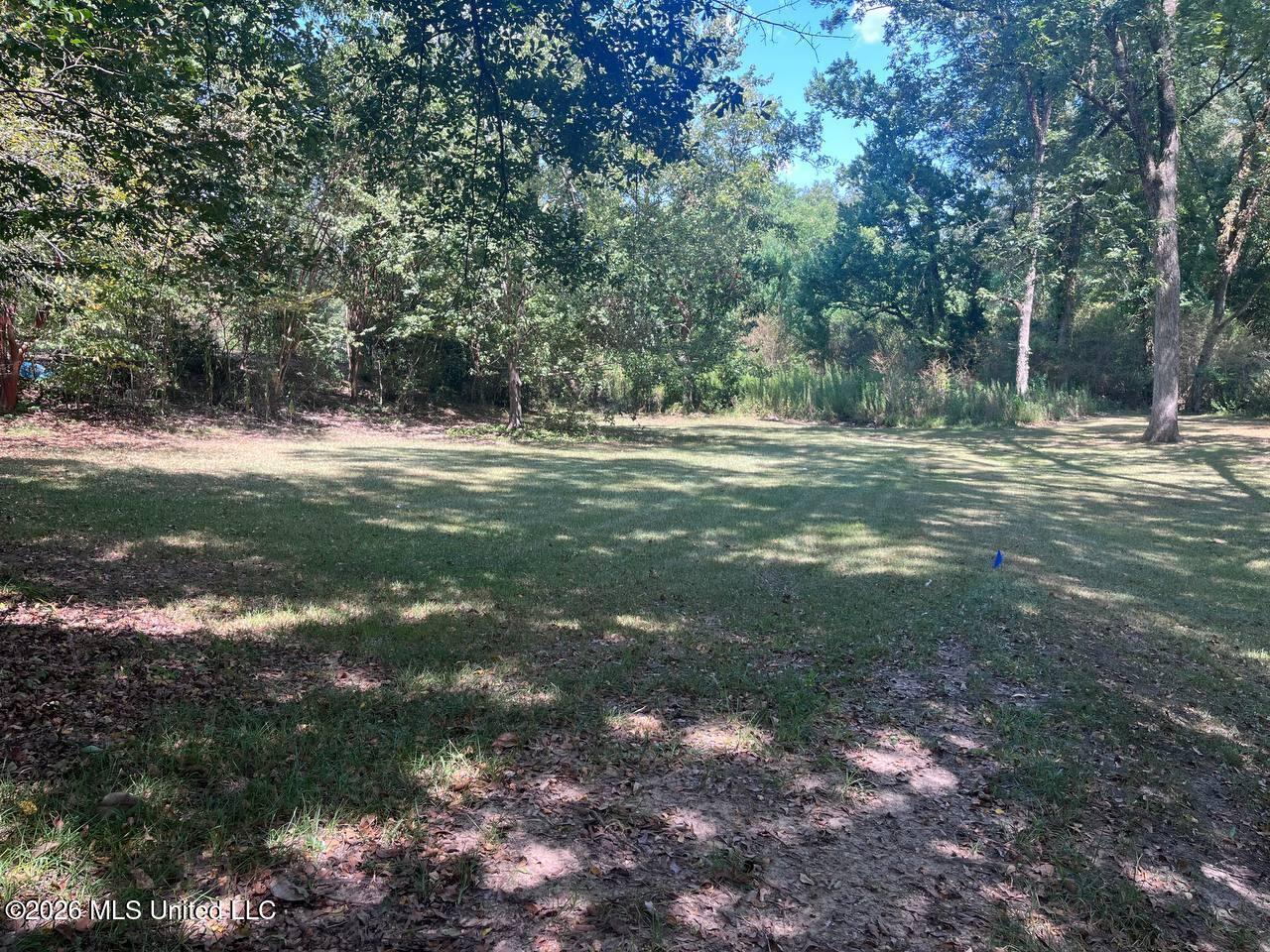 602 S Main Street Property Photo 44