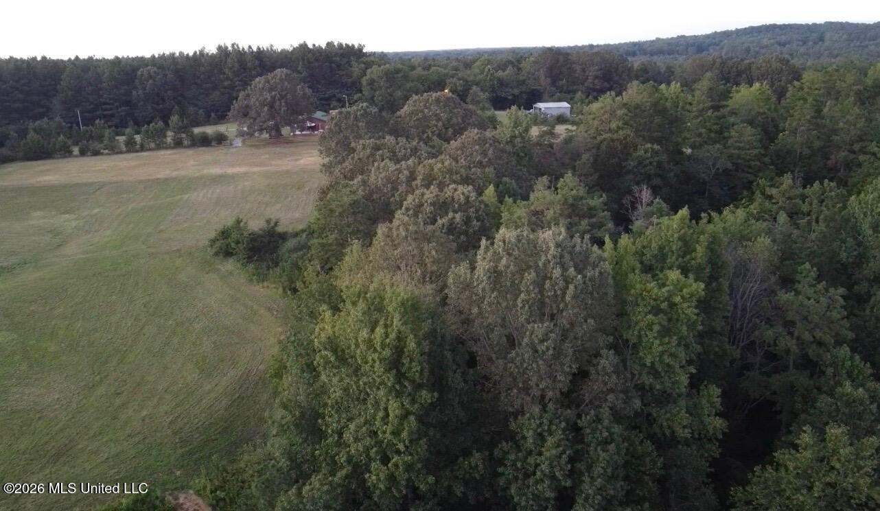 873 Glass Road Property Photo 11