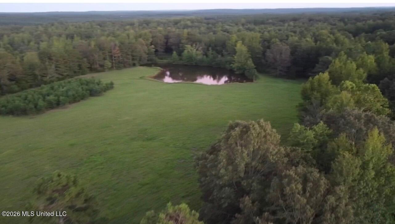 873 Glass Road Property Photo 12