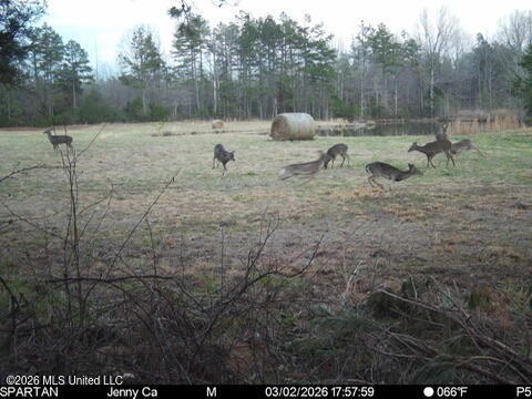 873 Glass Road Property Photo 14