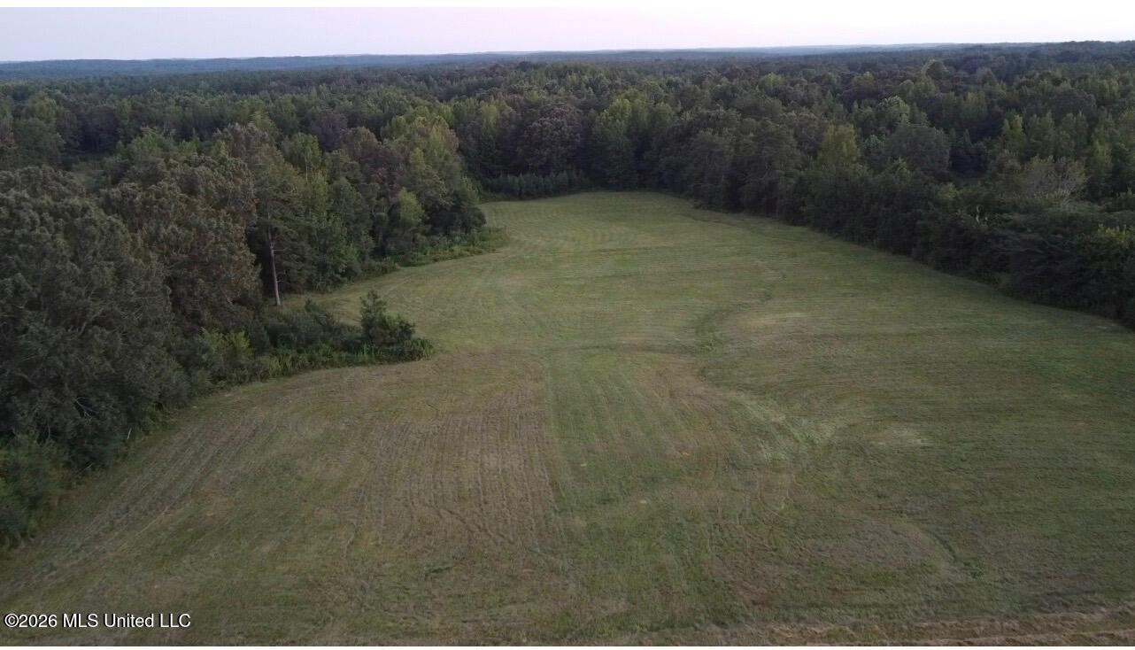 873 Glass Road Property Photo 15