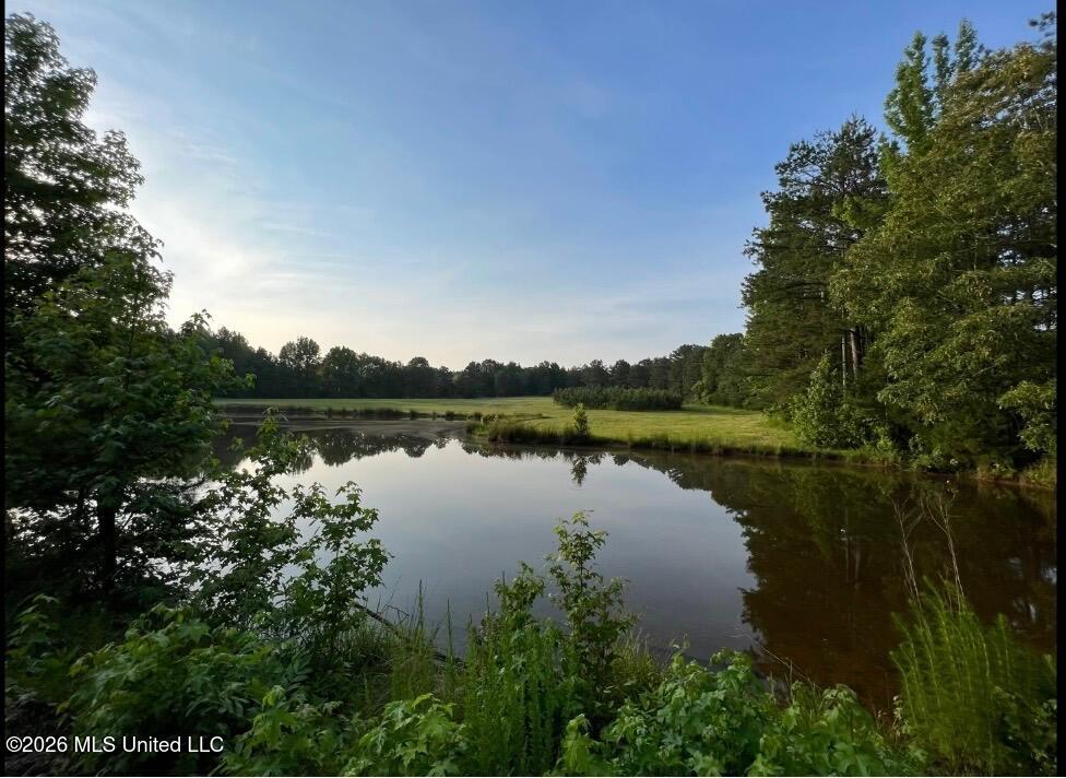 873 Glass Road Property Photo 18