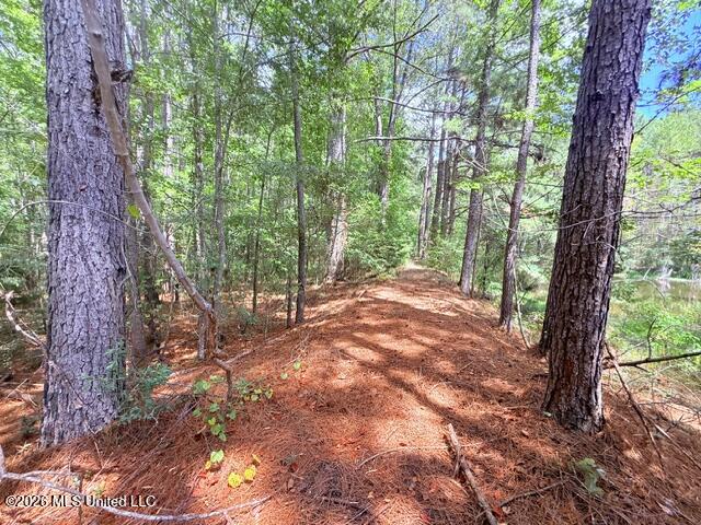 3751 Mound Road Property Photo 47