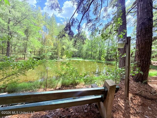 3751 Mound Road Property Photo 51