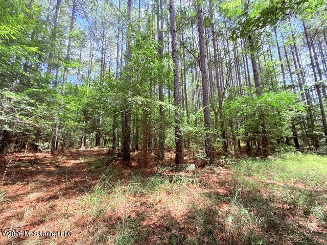 3751 Mound Road Property Photo 52