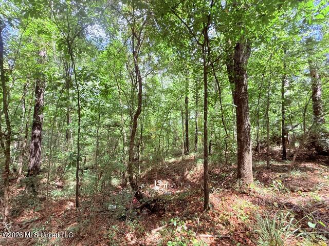 3751 Mound Road Property Photo 53