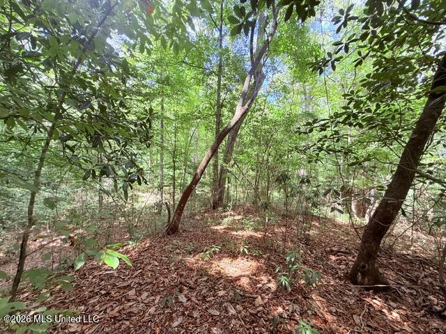 3751 Mound Road Property Photo 55