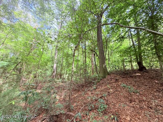 3751 Mound Road Property Photo 56