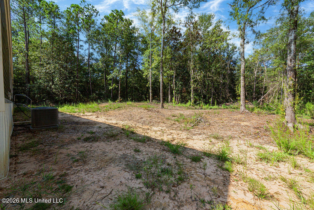 27265 Mississippi 603 Property Photo 29